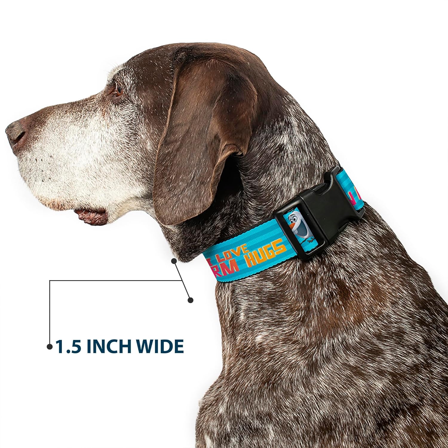 Buckle-Down Plastic Clip Collar - Olaf Pose I LOVE WARM HUGS Stripe Blues - 1.5" Wide - Fits 16-23" Neck - Medium