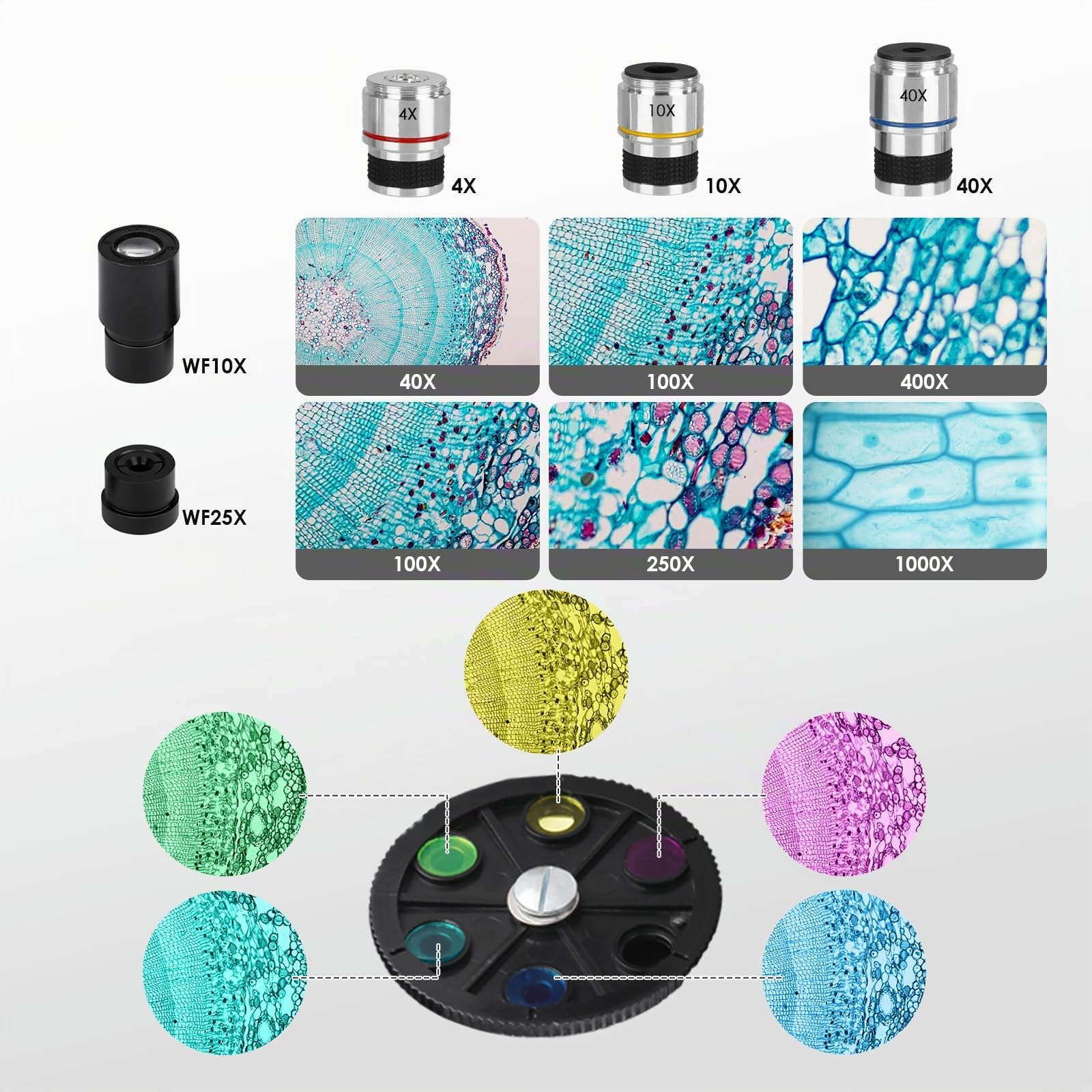 Microscopio professionale per adulti con adattatore per telefono, set di vetrini per microscopio per laboratorio scolastico, casa, ricerca scientifica biologica