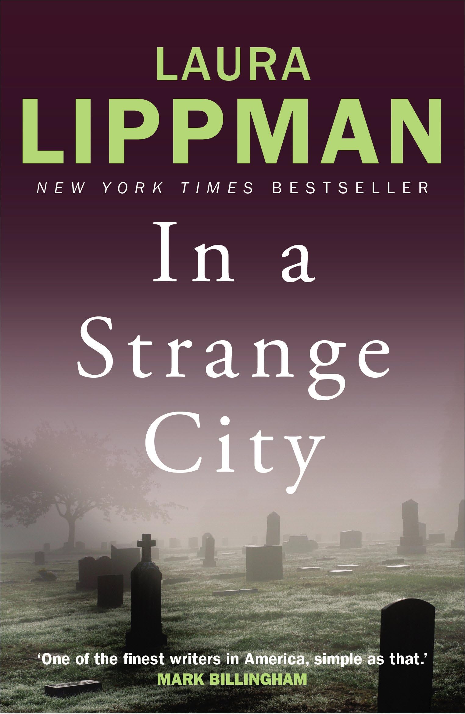 In a Strange City (Tess Monaghan Book 6)