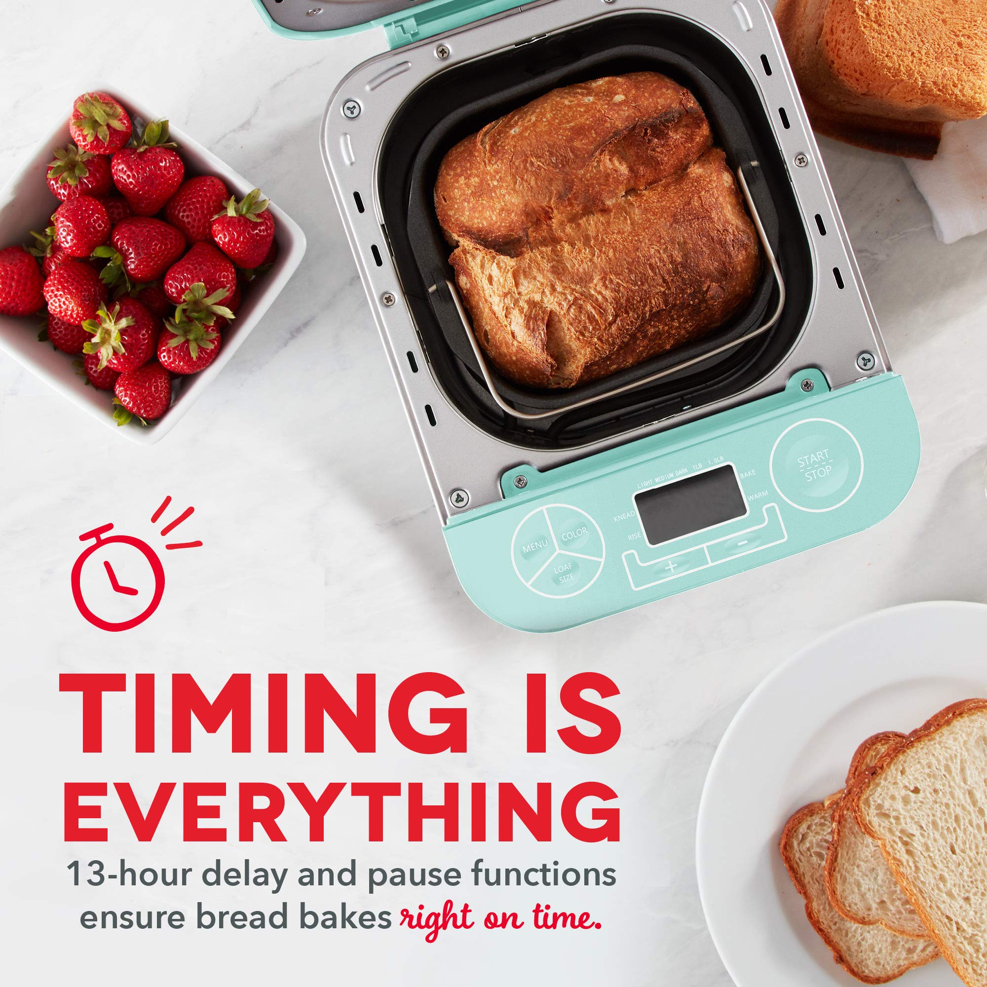 DASH Everyday - Panera de acero inoxidable, pan de hasta 1.5 libras, programable, 12 ajustes + dispensador de llenado automático y sin gluten, color aguamarina