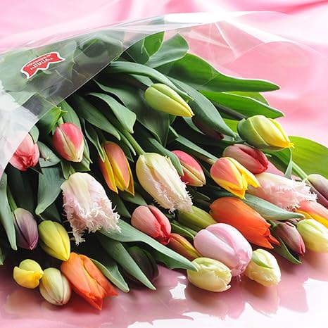 Amazon となみブランド認定品 チューリップ 切花 花束 贈答用ギフトケース入り 25本入り 3月末まで受注可能 産地直送で新鮮な花束を大切なあの人へ 花束 オンライン通販