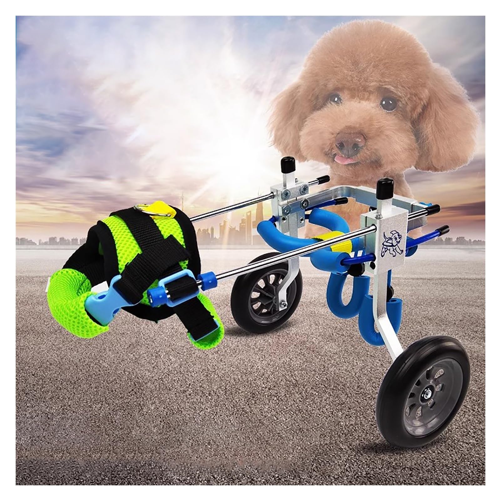フルサポート4輪車椅子 Mサイズ 犬用車椅子 Amazon.co.jp: フルサポート犬用車椅子、調節可能な4輪犬用車椅子