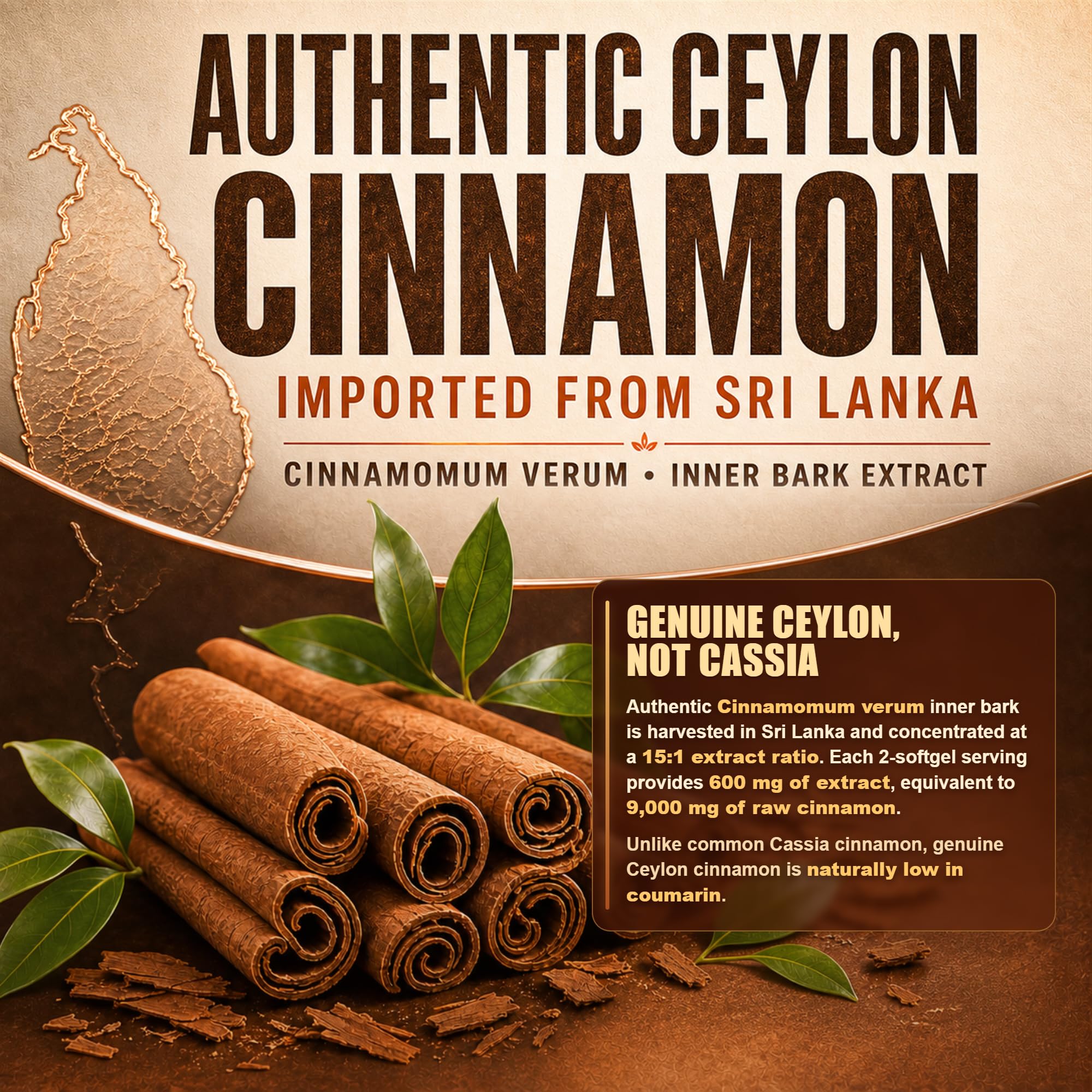 Ceylon Cinnamon with MCT Oil Softgels, 15:1 Sri Lankan Cinnamomum Verum Inner Bark Extract Supplement | Highly Bioavailable | Heart Health and Energy & Metabolism Support (1 Bag (200 Count)) — Amazon image 5