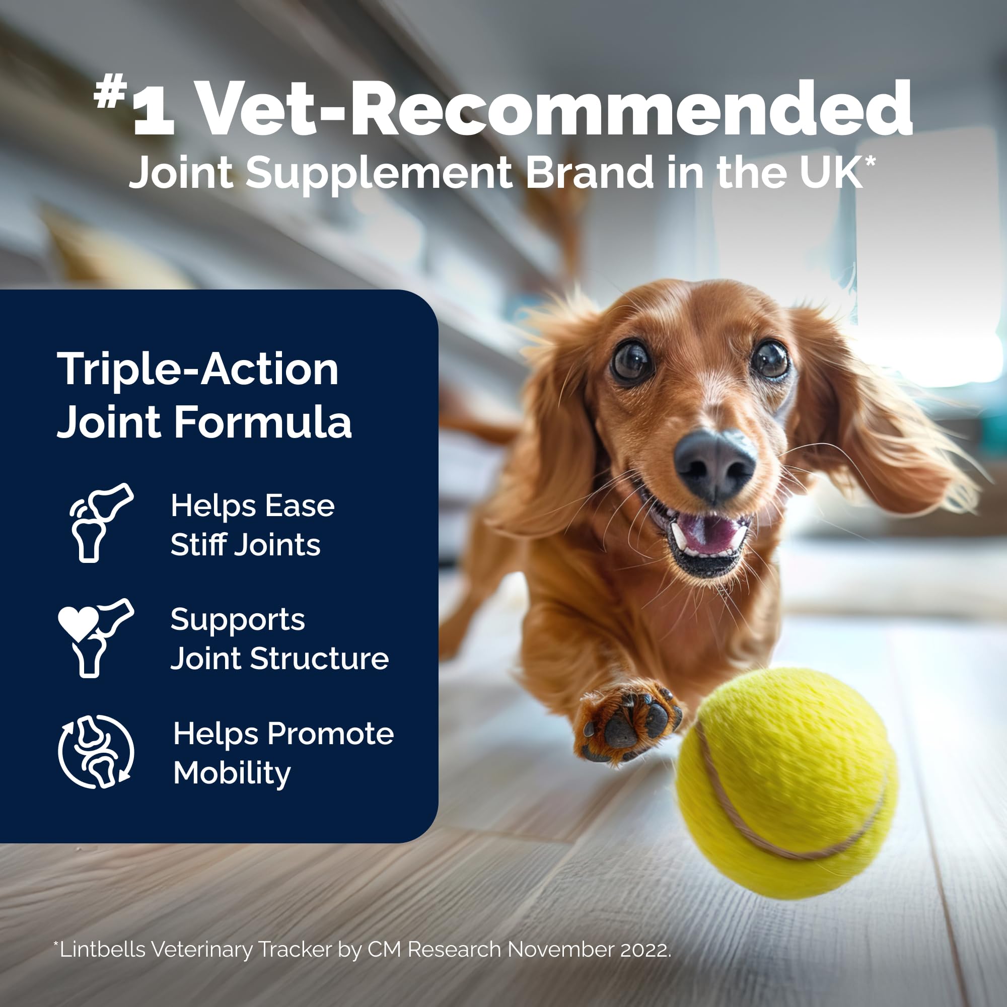 Yumove Hip & Joint Supplement for Dogs with Glucosamine, Hyaluronic Acid, Green Lipped Mussel & Omega 3 Joint Supplement - Regular or Advanced Strength (180 Count, Advanced Vet Strength Soft Chews) - image 3