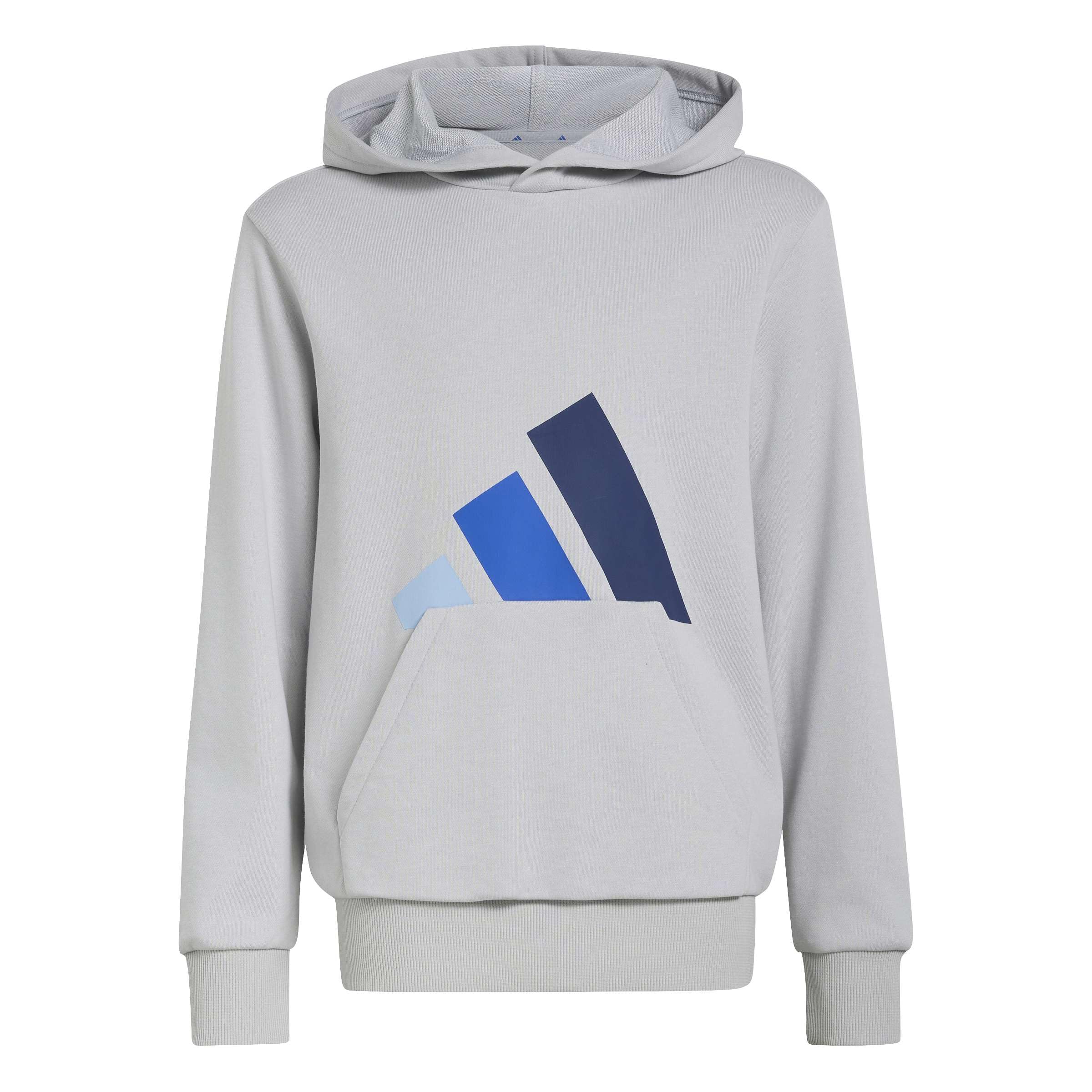 adidas Uniseks - dzieci Essentials Big Logo Hoodie Sweatshirt, lgh solid grey/glow blue/team royal blue/dark blue, 11-12 Years