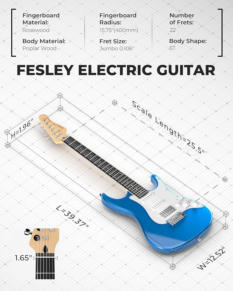 Amazon.com: Fesley 39 Inch Electric Guitar: Beginner