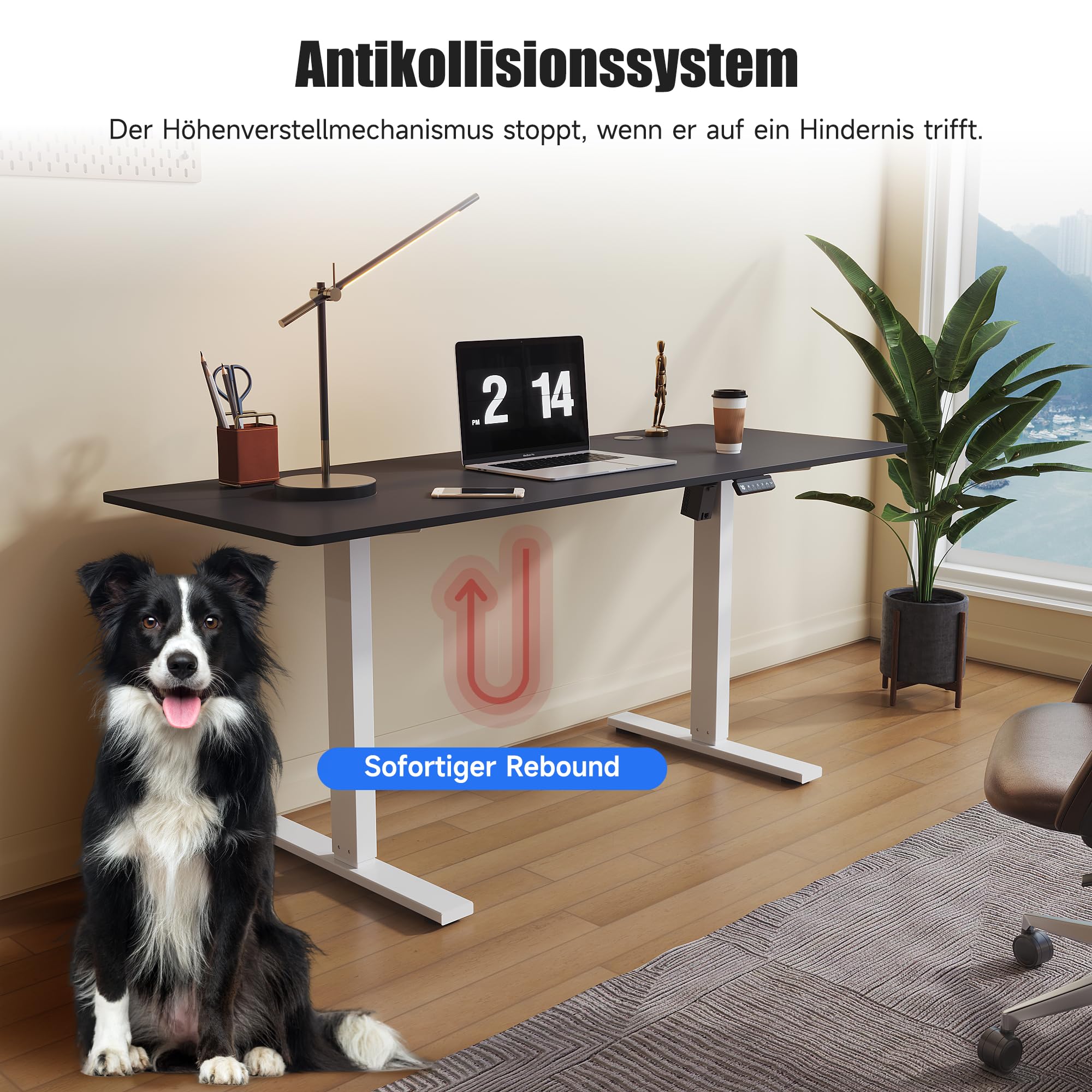 SONNI Biurko z elektryczną regulacją wysokości, 100 x 60 cm, bezszczotkowy silnik z 3 funkcjami pamięci, system antykolizyjny i zarządzanie kablami, stół stojący do domowego biura, nośność 60 kg