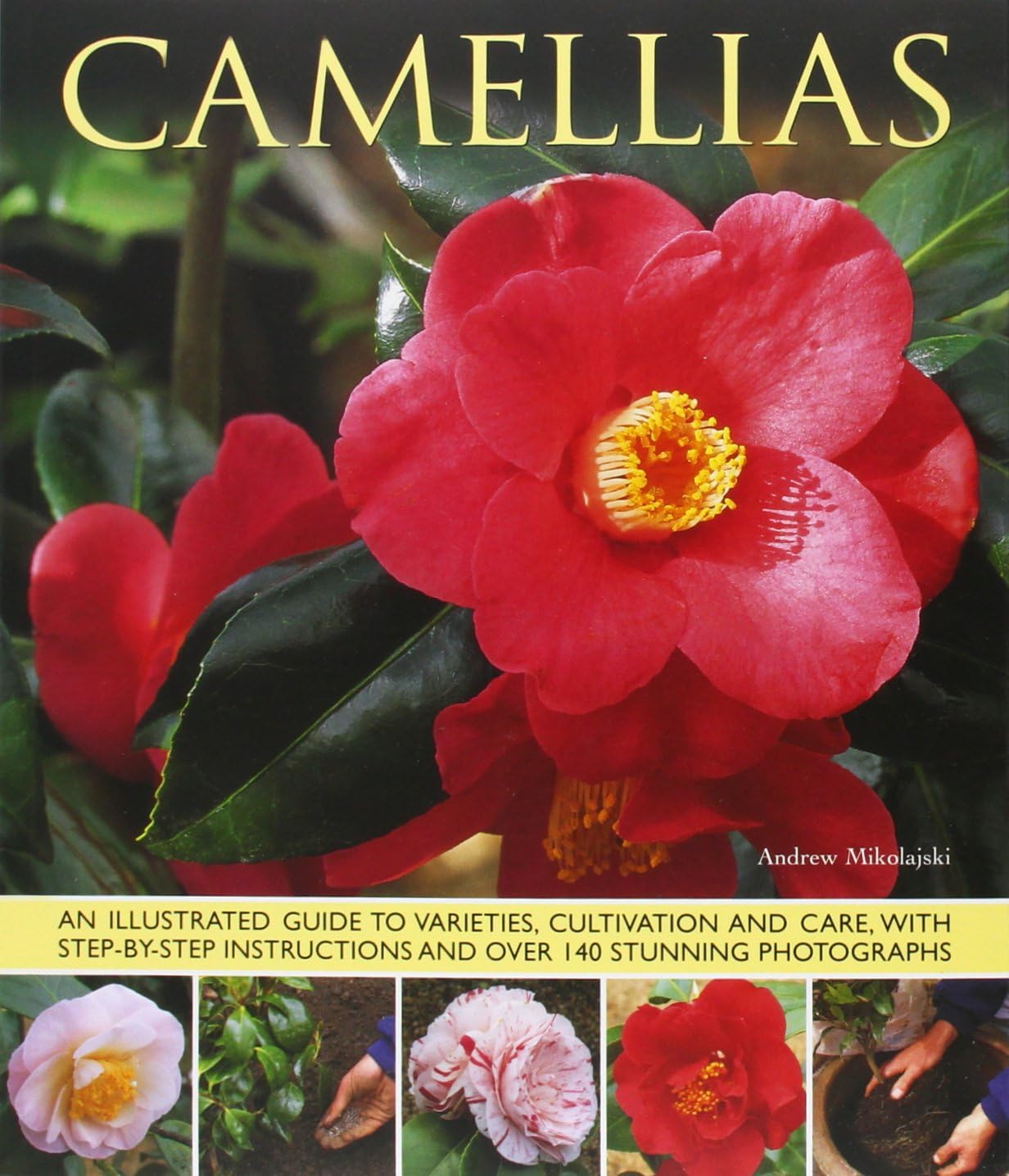 Camellias: An Illustrated Guide To Varieties, Cultivation And Care, With Step-By-Step Instructions And Over 140 Beautiful Photographs Paperback โ November 7, 2014
