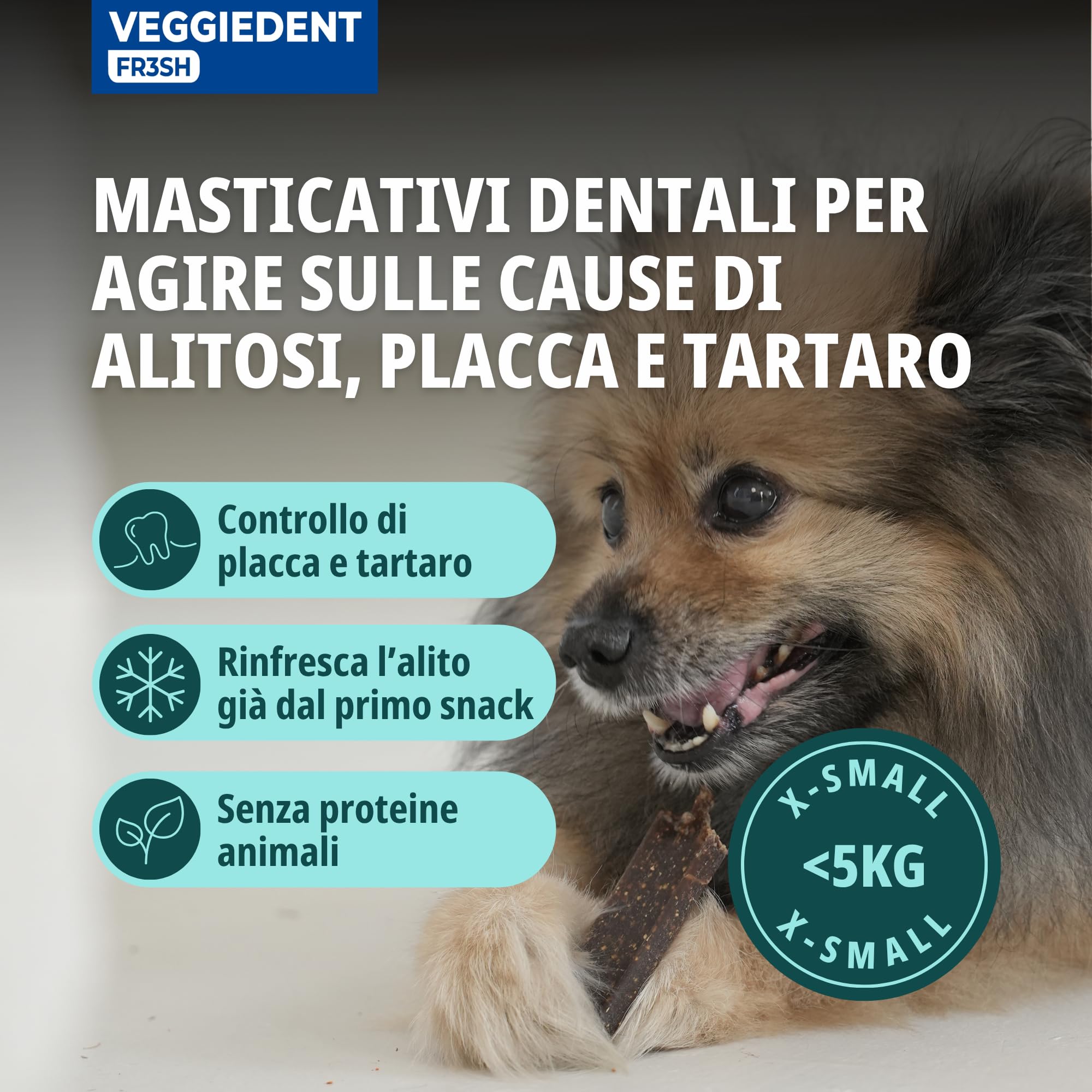 Veggiedent Fr3sh XS 15 Stick