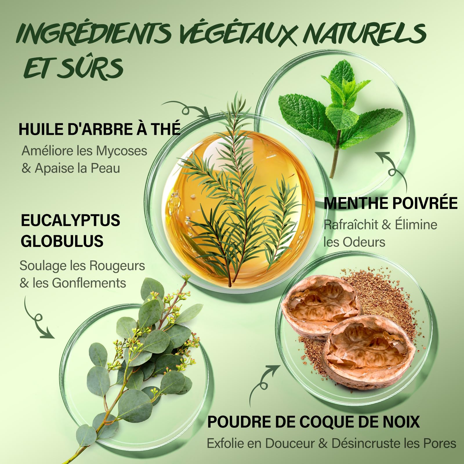 Gommage Corporel à L'huile D'arbre à Thé, Améliore les Mycoses Cutanées, les Démangeaisons, L'eczéma Marginé, les Odeurs Corporelles. Gommage au Sel Marin pour Exfolier et Hydrater la peau, 360g