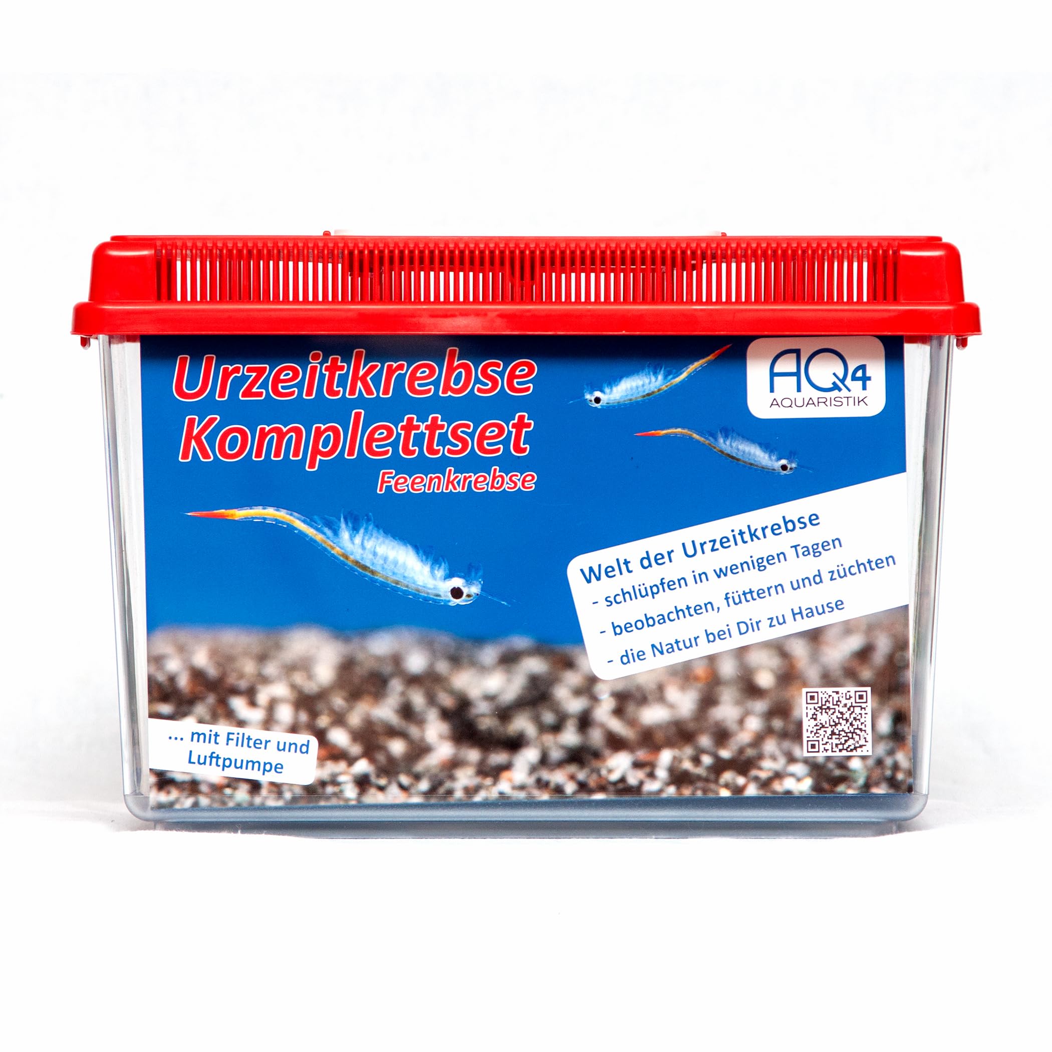 Brasilianische Feenkrebse Dendrocephalus brasiliensis Premium Komplettset