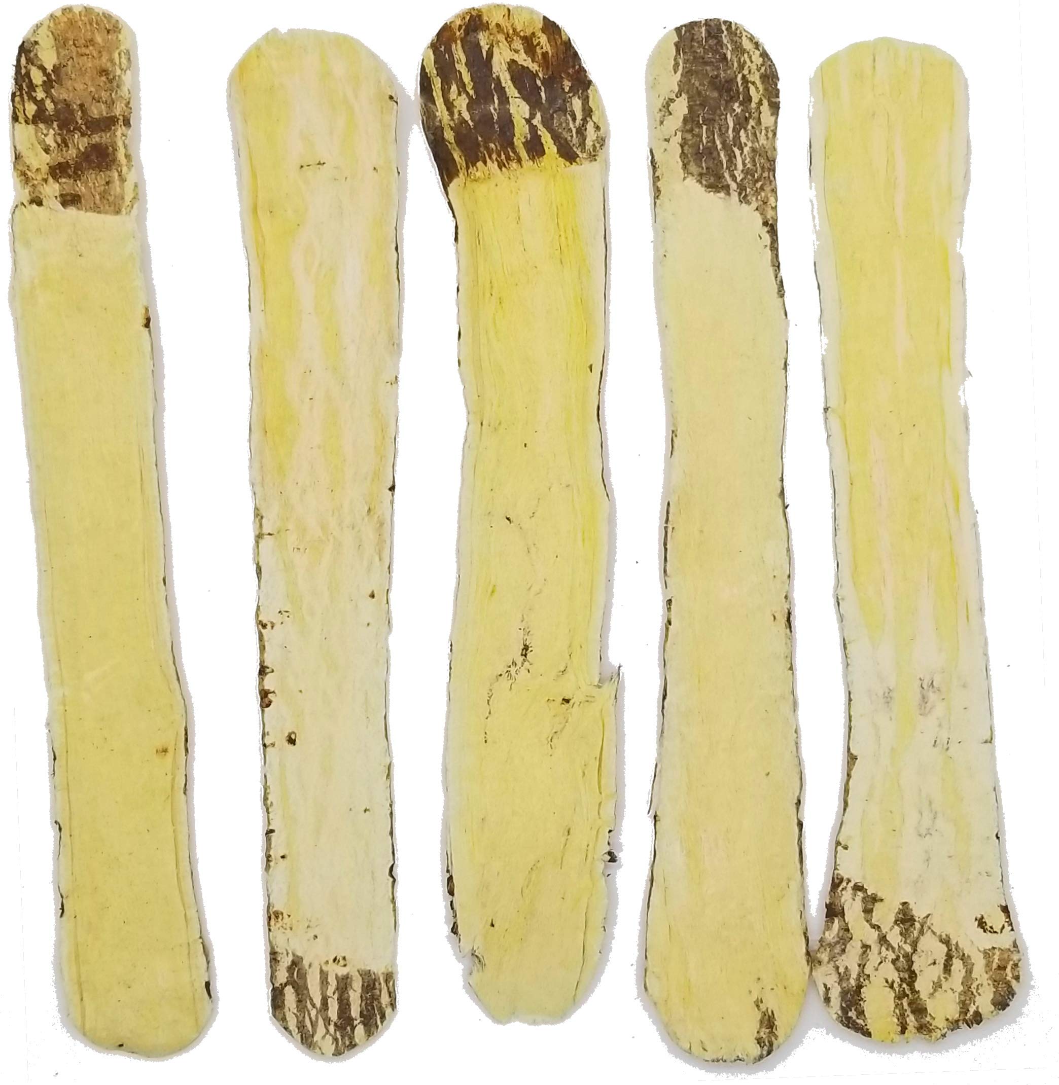 GinsengStoreAndMore Astragalus Root X-Large Slices | Premium Grade Huang Qi | Astragalus Membranaceous 黄芪 | Preservative/Sulfite Free | Use for Immune System, Energy, Health for Men & Women