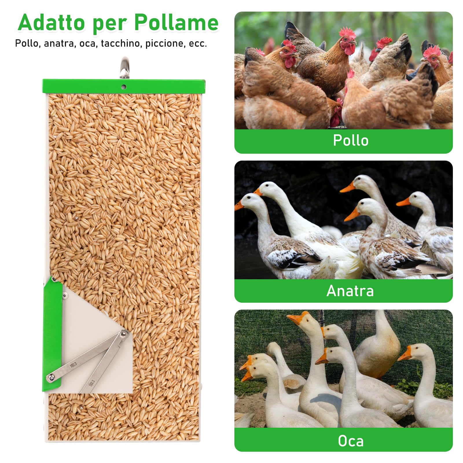 Mangiatoia Automatica Per Polli da 11 Kg Mangiatoia Per Pollame a Parete,Mangiatoia Per Pollame Senza Rifiuti,Mangiatoia Antipioggia Per Esterni Per Impieghi Gravosi Per Polli,Anatre,Tacchini D'Oca