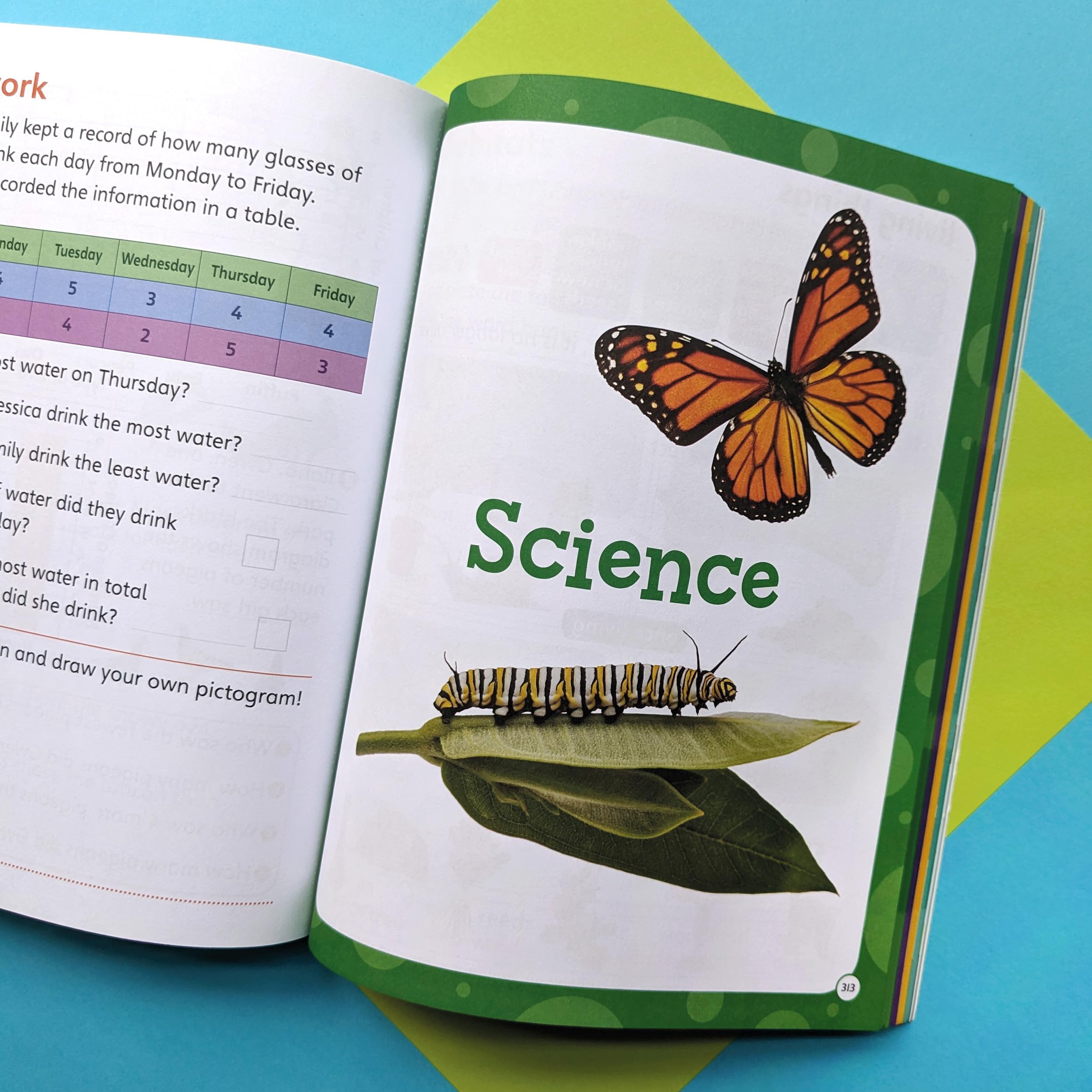 Big Workbook Year 2