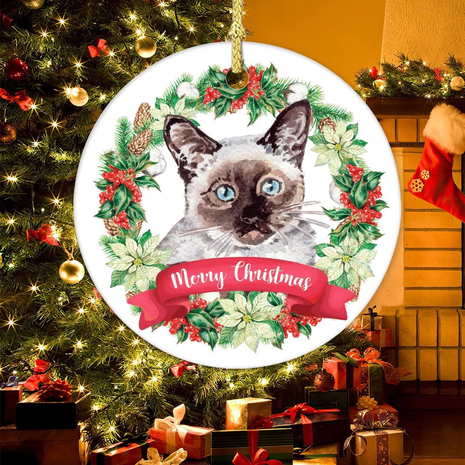 Katten en kerstbomen, het blijft een moeilijke combinatie - MAX Vandaag