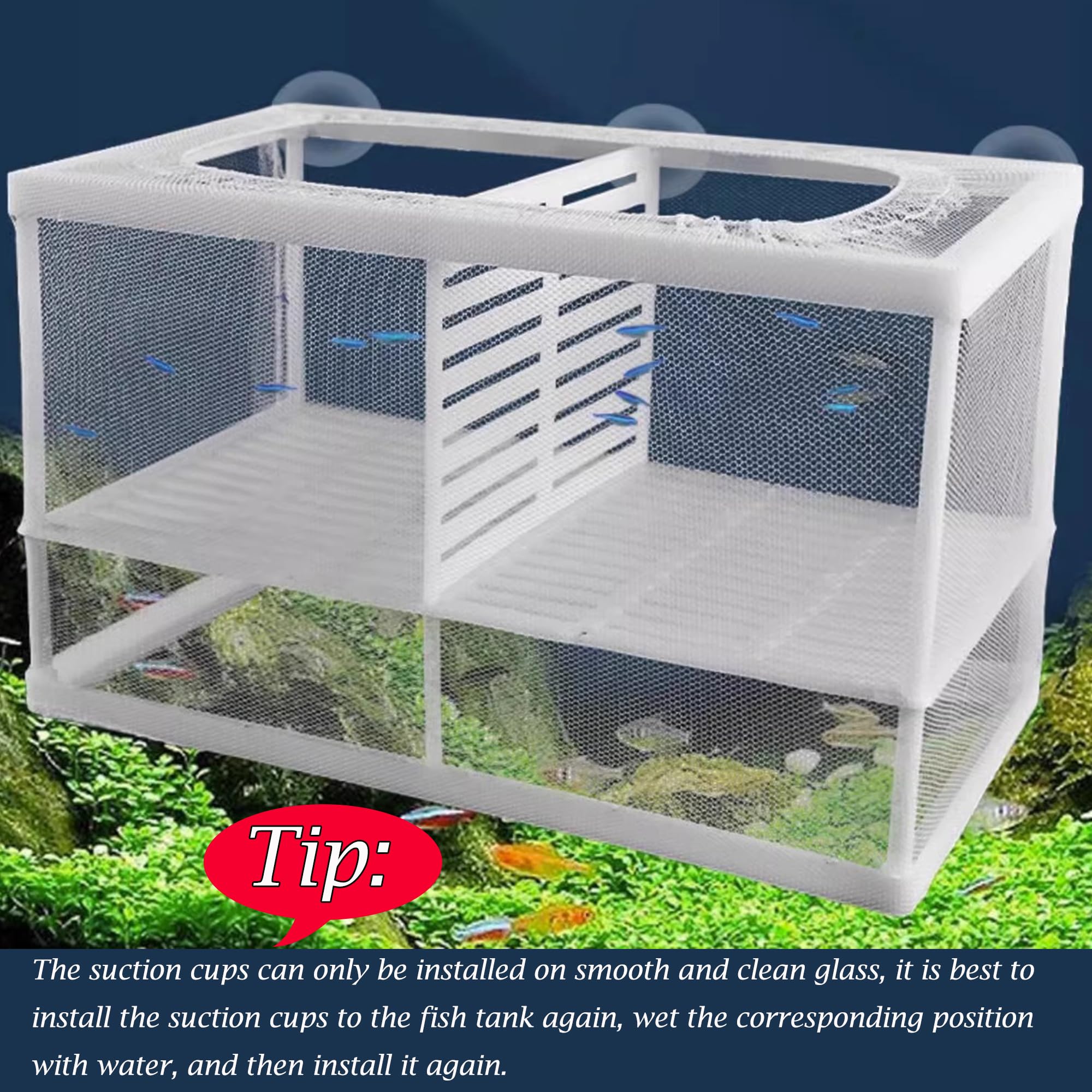 Scatola di Isolamento Allevatore di Pesci Scatola di Allevamento di Pesci Acquario Rete per Incubatoi Isolare Piantine e Sostenere l'incubazione e la Riproduzione con Ventose (26 * 15 * 15 cm)