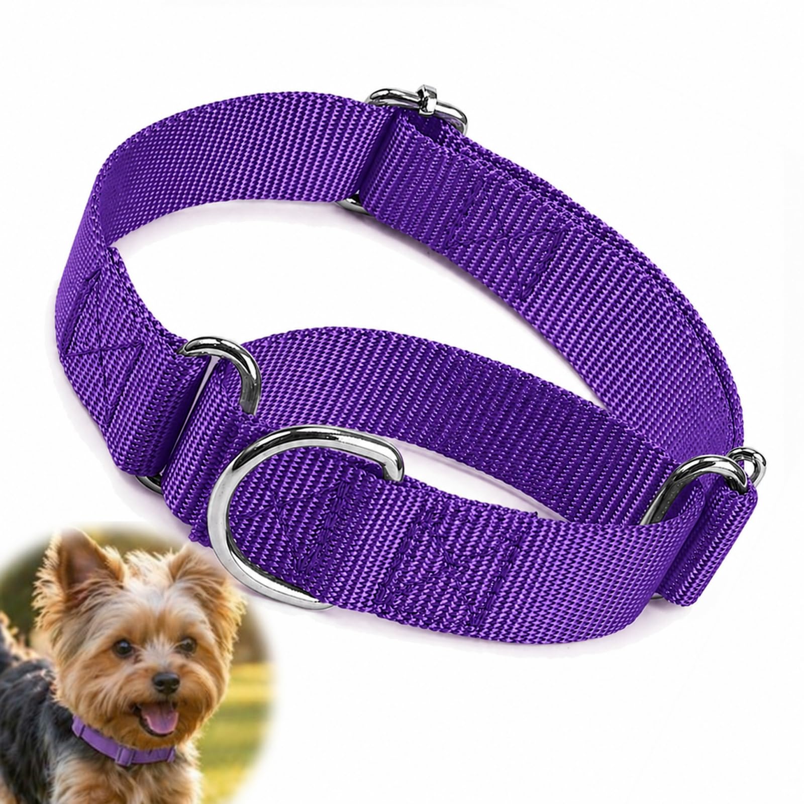 Purple Nylon Slip Collar for Medium Dogs with Adjustable Strap - Gentle Training Anti-Pull Choke Collar for Daily Walks Secure Fit 7.9-15.7 Inch Lightweight Durable Weave, Strong Metal Buckle Large