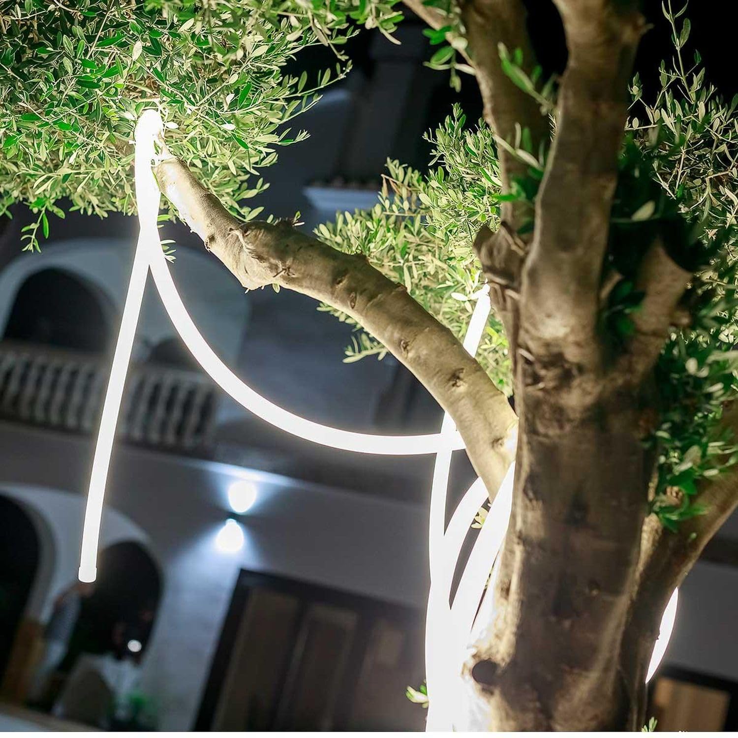 Licht-Erlebnisse LED Lichtschlauch außen 3m lang + 4m Kabel Stecker IP65 3000 K lm warmweiß Modern Gartenbeleuchtung Außenlampe Balkon Garten Terrasse