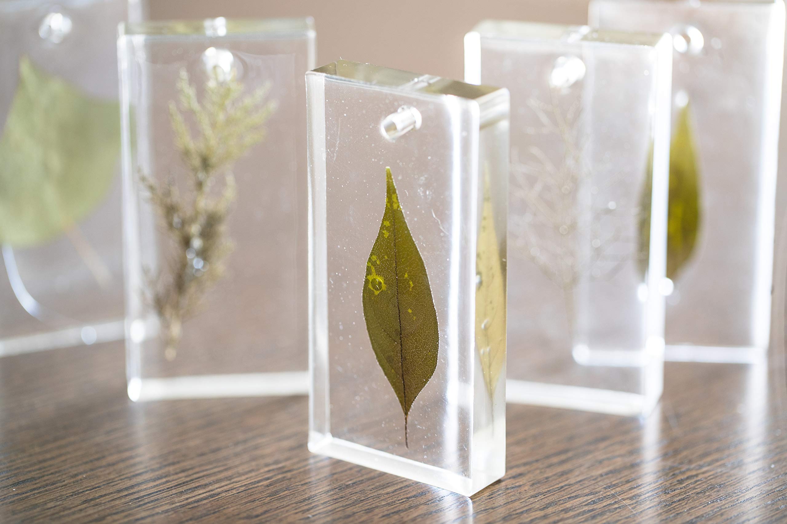 Pébéo - Epoxidharz Set Gédéo Biobasiert - 50% Biobasierter Kristall Kunstharz - Transparent und Glänzend - Alle Untergründe - Resin Gießharz - Zum Einschließen, Gießen, Formen, Lackieren - 750 ml