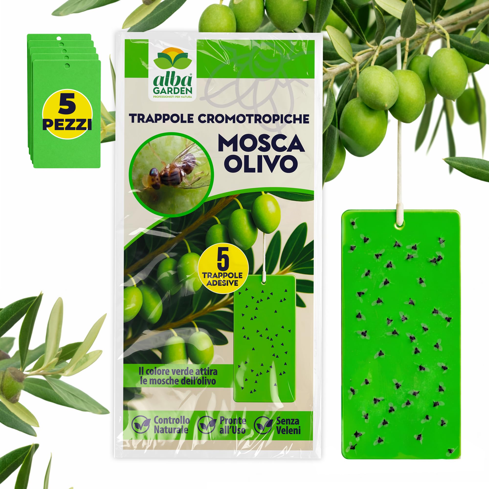 Albagarden - Trappola Cromotropica Verde Per Mosca Dell’olivo - Trappola Adesiva Senza Veleno, Fogli Cattura Insetti, Protezione Per Uliveti E Agricoltura Biologica - 5 Pannelli Appiccicosi