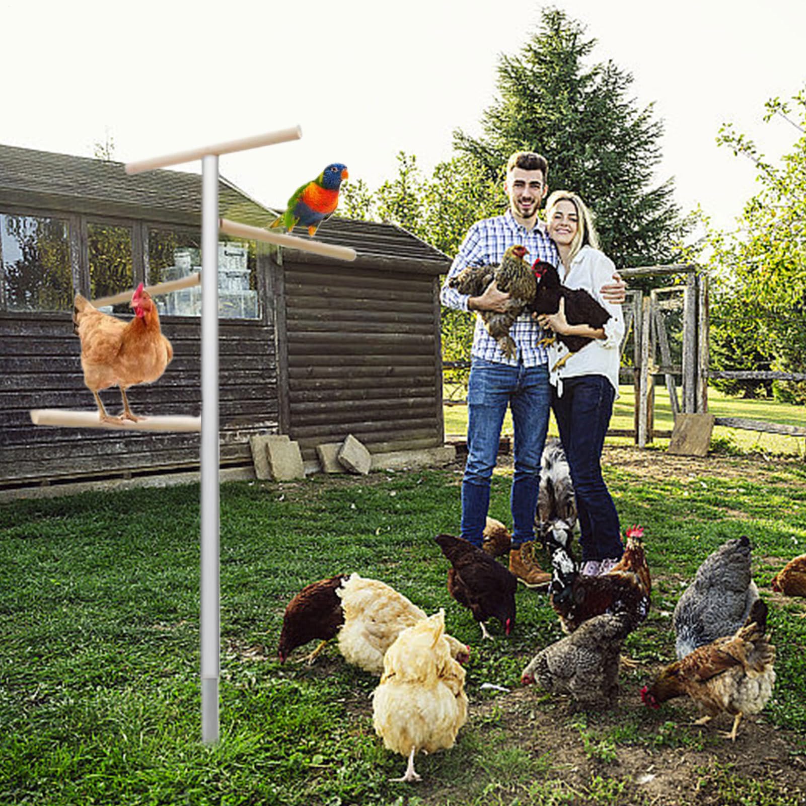 Perchoir à Poules 4 Niveaux Multifonction Et Ample Gain De Place
