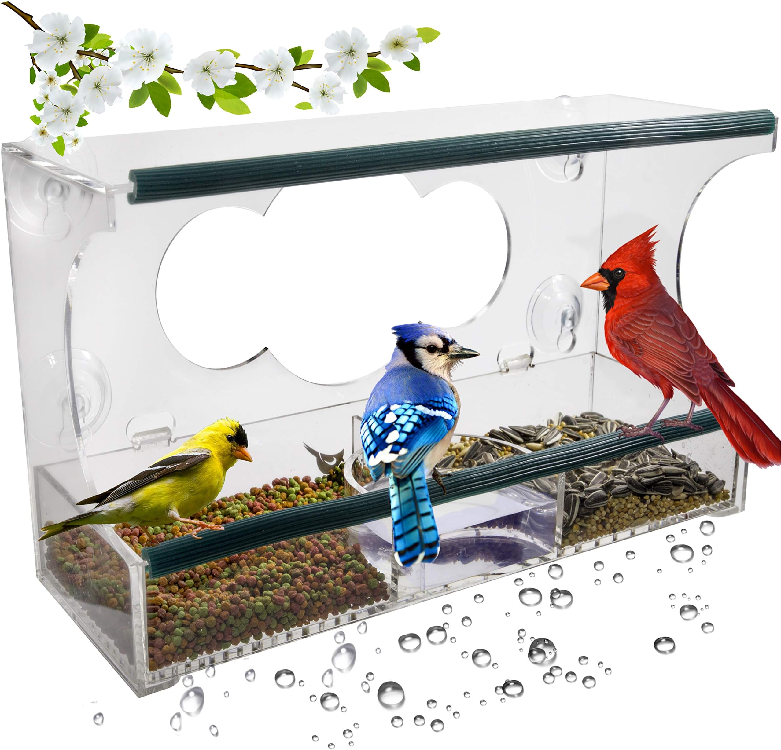 Birdious Deluxe Window Bird Feeder: Strong Suction Cups Outside Mount, Large Clear See-Through Birdfeeder House and Removable Tray. Best Birding Gift Idea