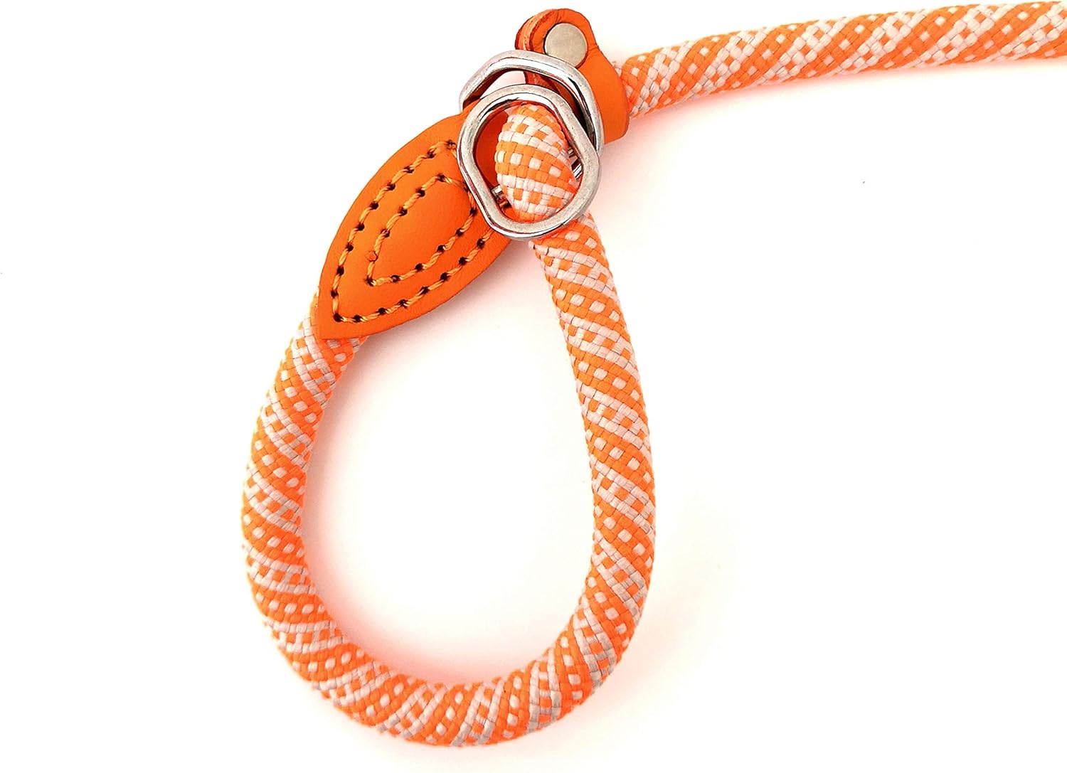 VIGOROUS Colourful AntiPull Rope Puppy & Dog Lead/Slip Lead/Halter