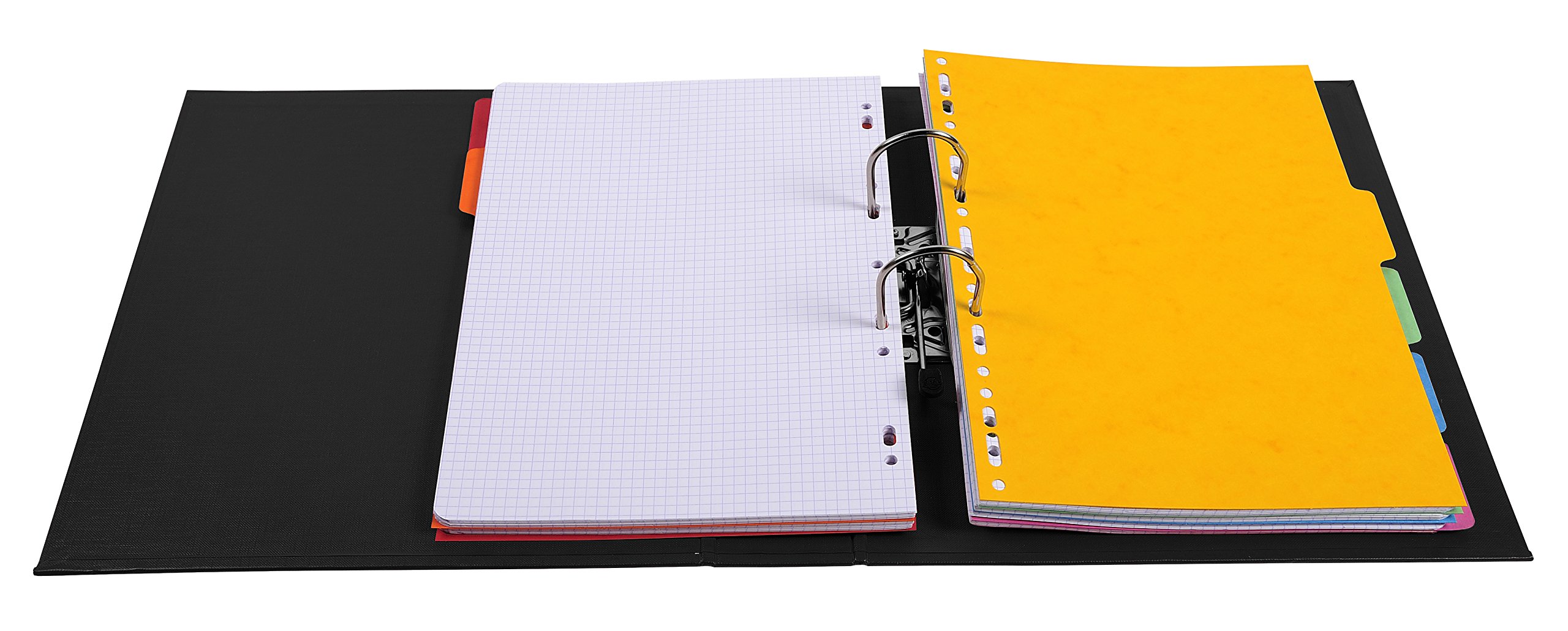 Exacompta - Ref. 58741E – Karton mit 50 Aktenordnern A4 Export – flach verpackt – Rücken 70 mm – Mechanik 75 mm – Außenmaße: 32 x 29 x 7 cm – Format A4 – Farbe: Schwarz
