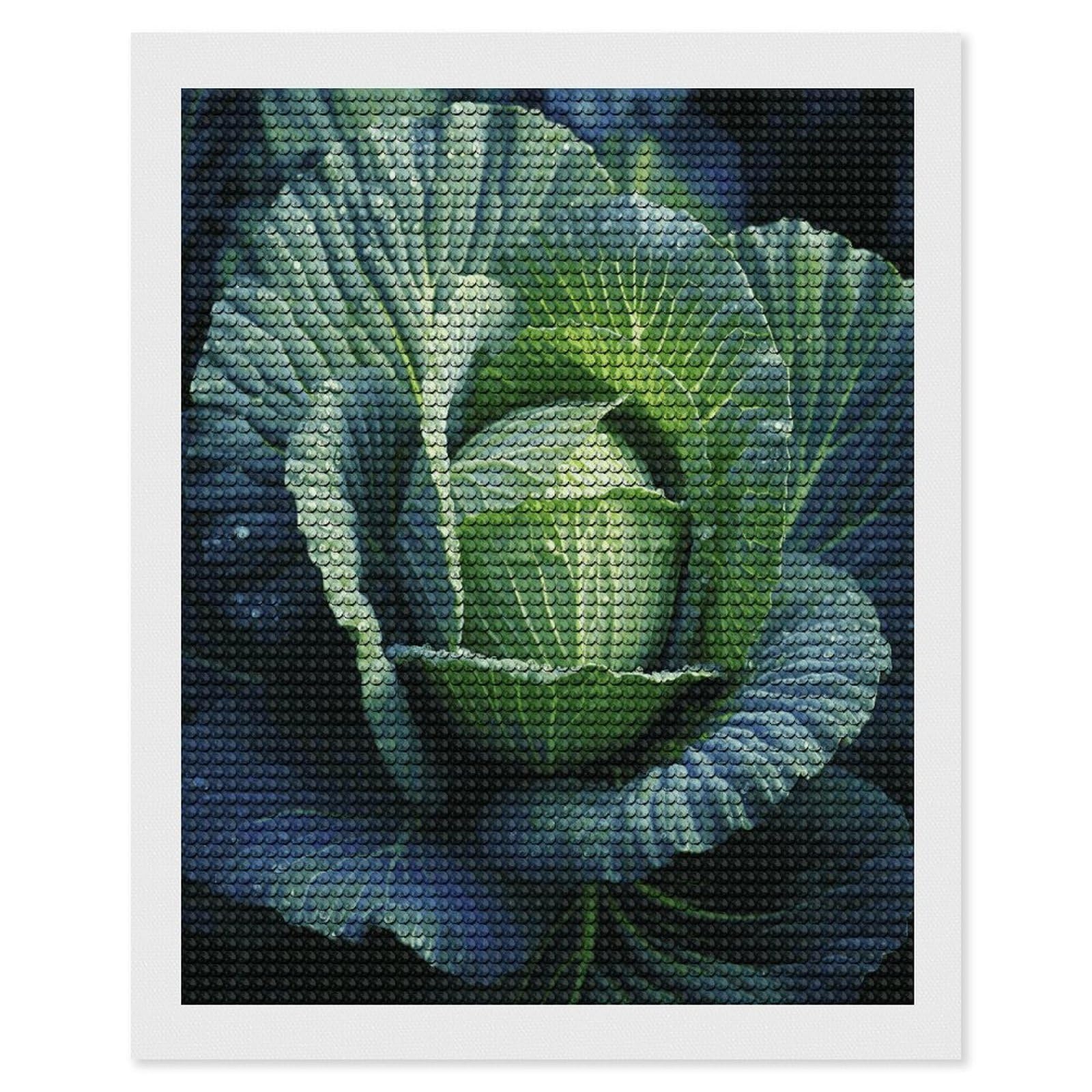 JTREHY Bright Cabbage Diamond Art Kits Personalized DIY Round Diamond Painting Kits for Beginner Full Drill Diamonds Dots Paintings for Adults Gem Art Crafts Home Decor