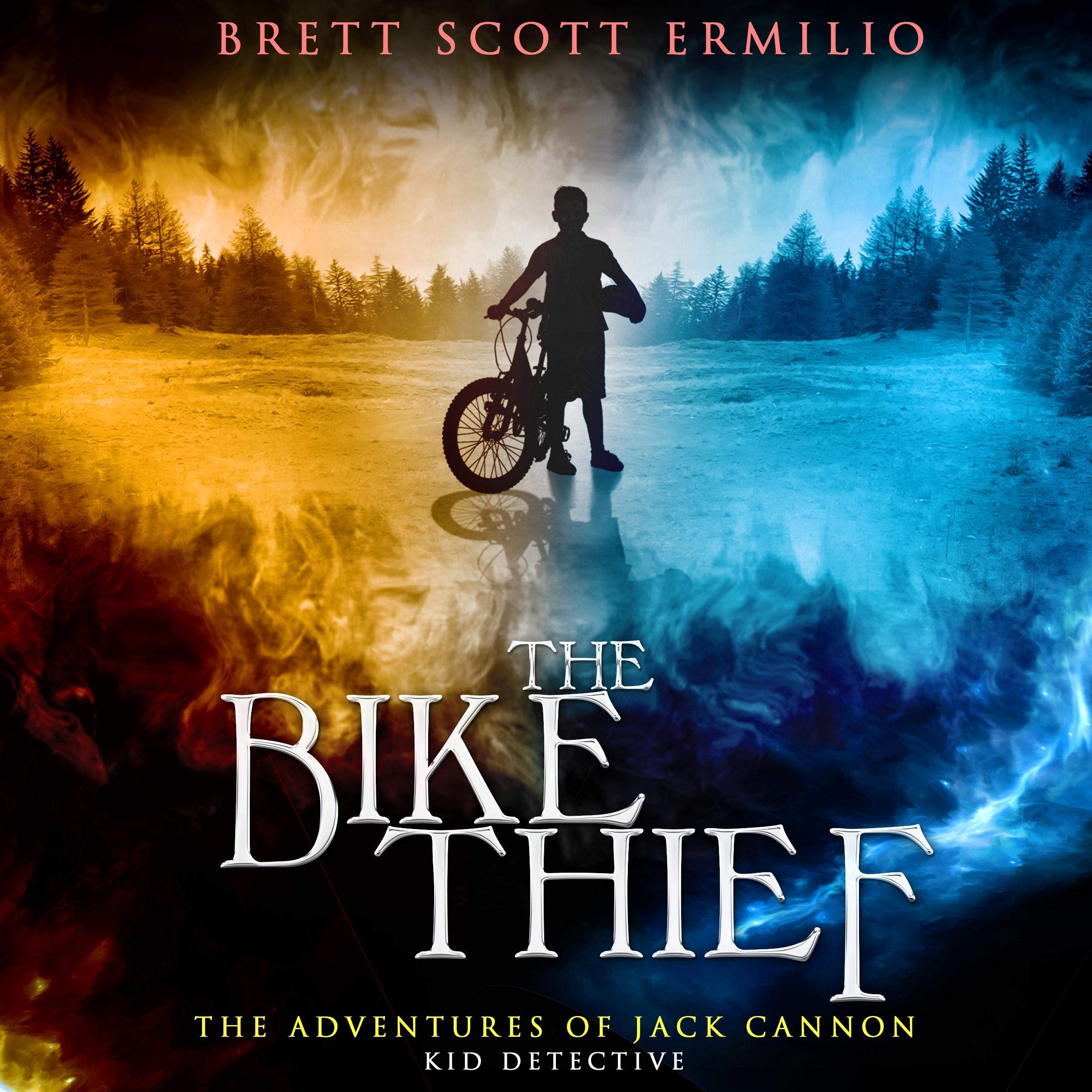 Cover art for The Bike Thief