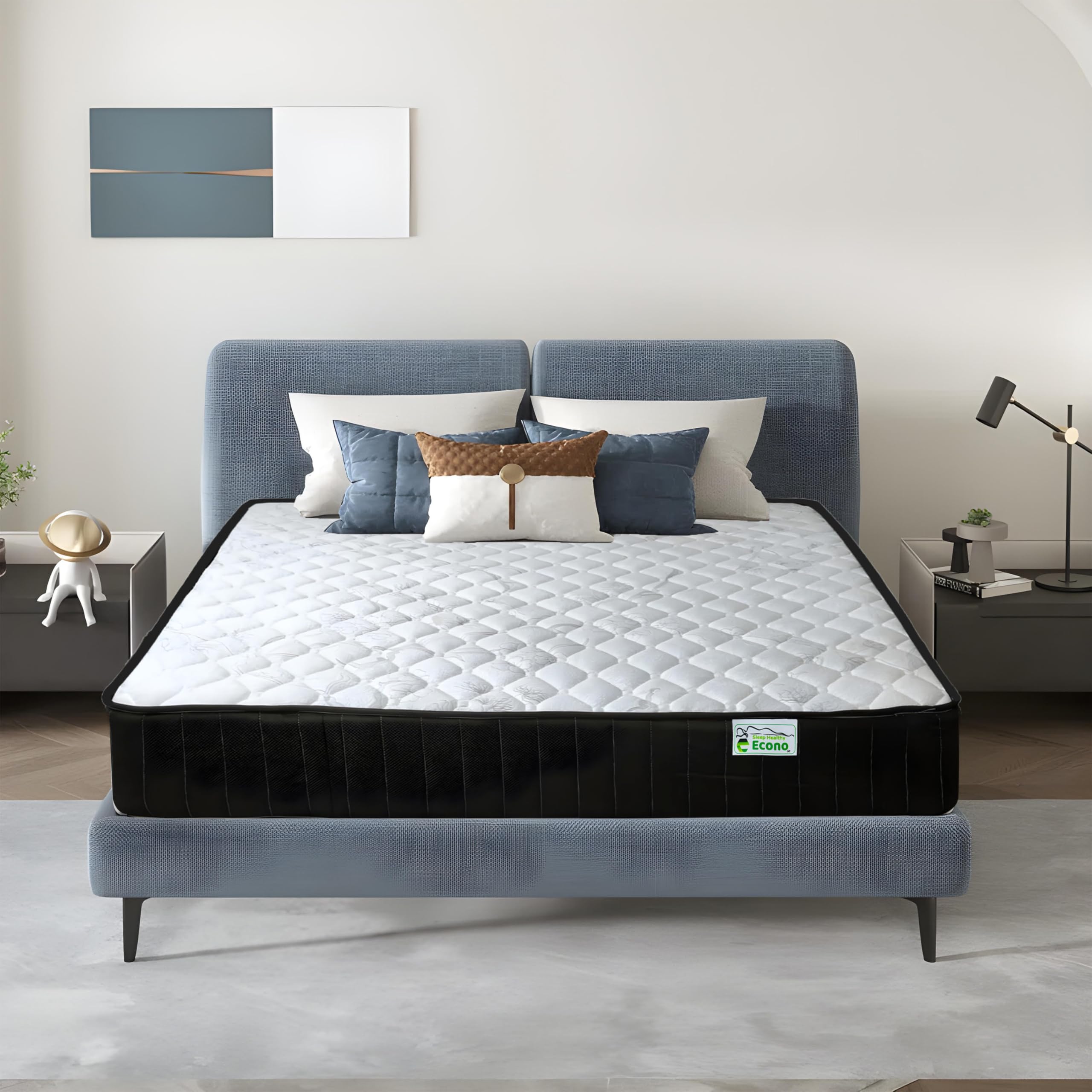 Econo Queen Size Medical Mattress Orthopedic Medical Mattress For