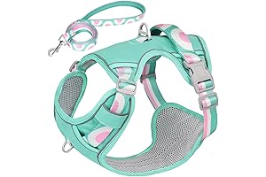 No-Pull Dog Harness and Leash Set for Large Breed Dogs