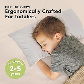 Toddler Pillow with Pillowcase - 10x18 My Little Dreamy Kids Travel Bed Pillows for Sleeping, Organic Cotton Small Pillowcase, Soft & Breathable, Machine Washable, Toddlers 2-5 years old (French Gray)