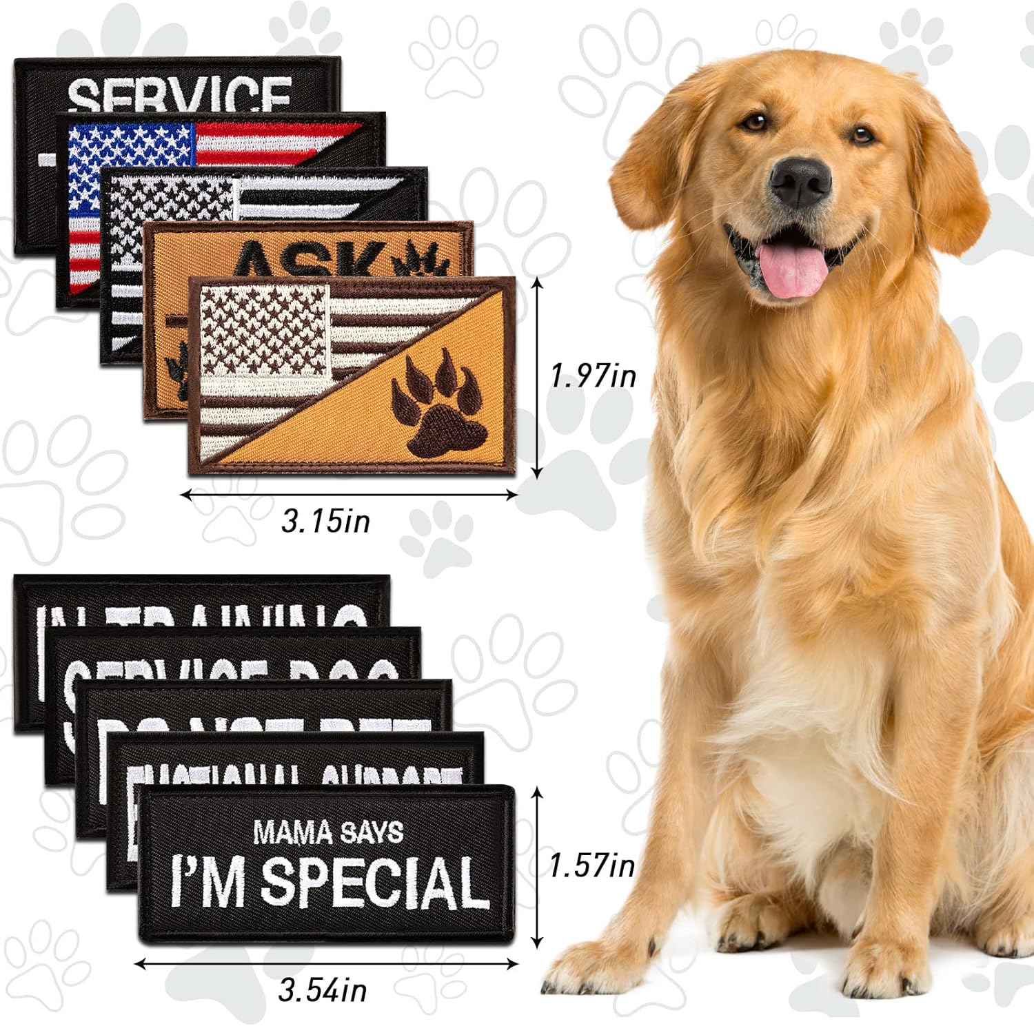 What Is The Average Cost Of A Service Dog