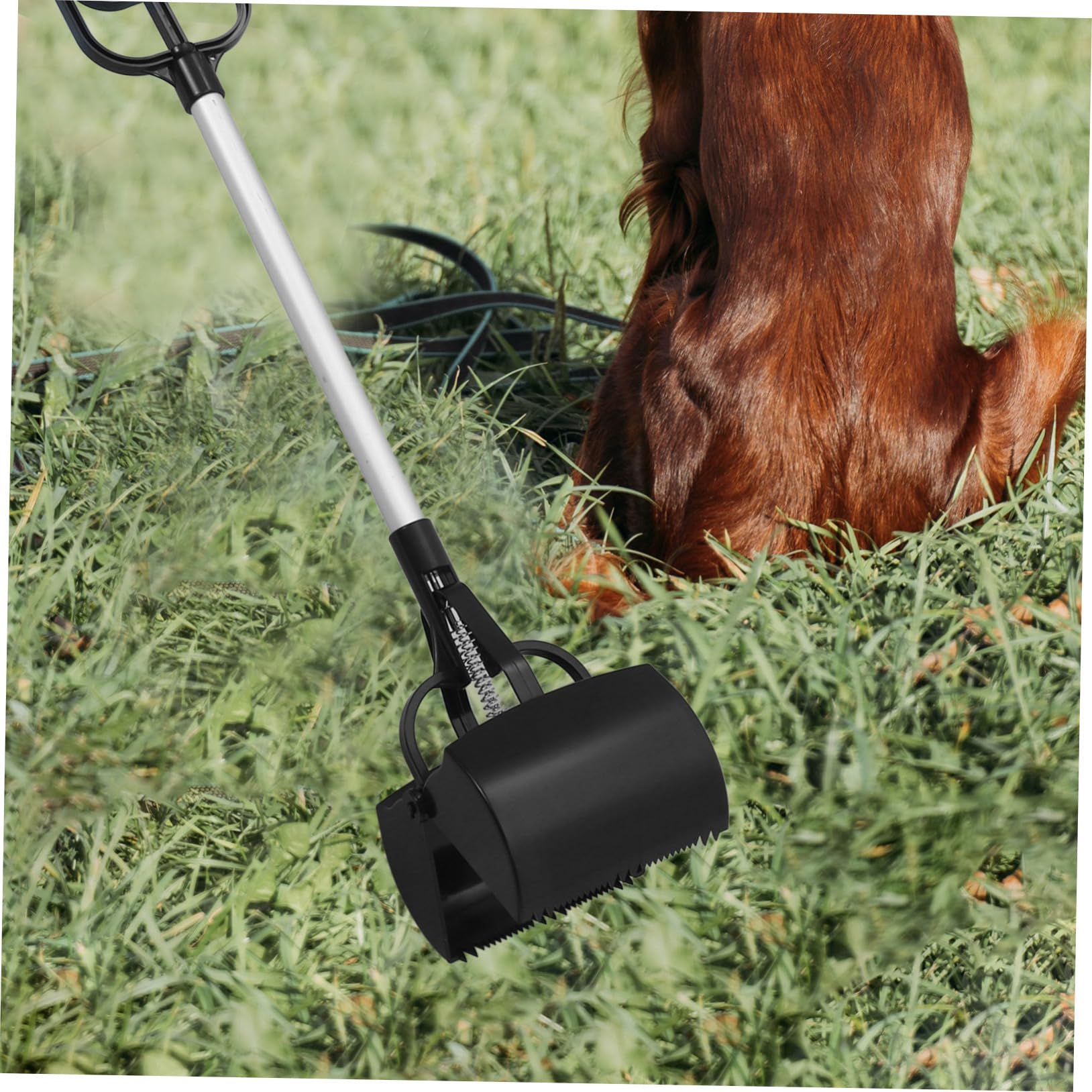 TOYANDONA Ramasse-crottes pour Animaux en Plastique Léger Grosse Ouverture, Pelle à Déjections Canines pour Collecte en Extérieur Couleur Aléatoire