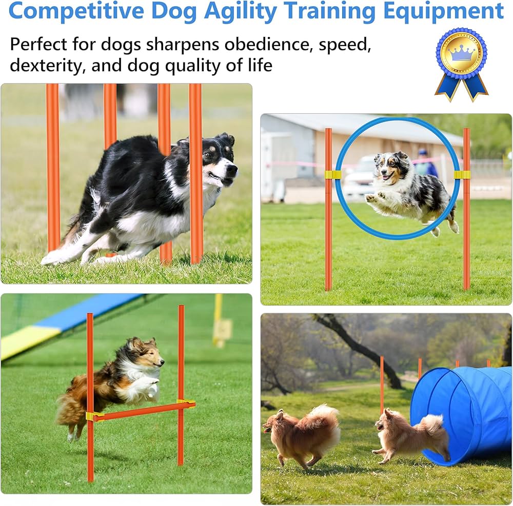 The Best Dog Training Game for Agility, Focus, and Obedience - gmedia