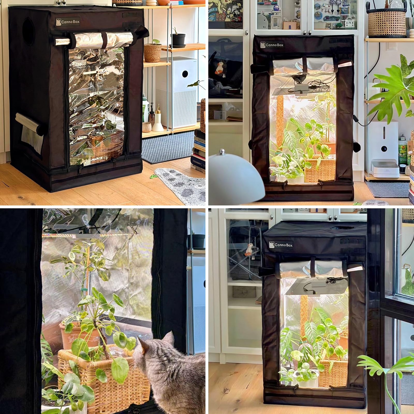 Growzelt 60x60x160 cm Pro Indoor Growtent Transparente Schicht Design Reflektierende Mylar 1680D Oxford Zuchtzelt für Hydrokulturen
