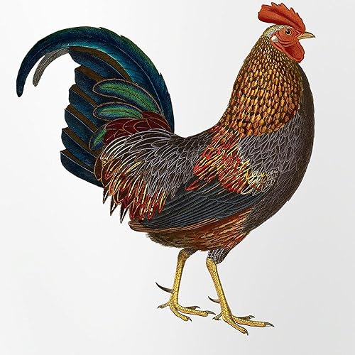 Miniatura 2 de CafePress Vaso de pinta de gallo, 16 oz. Vaso para beber