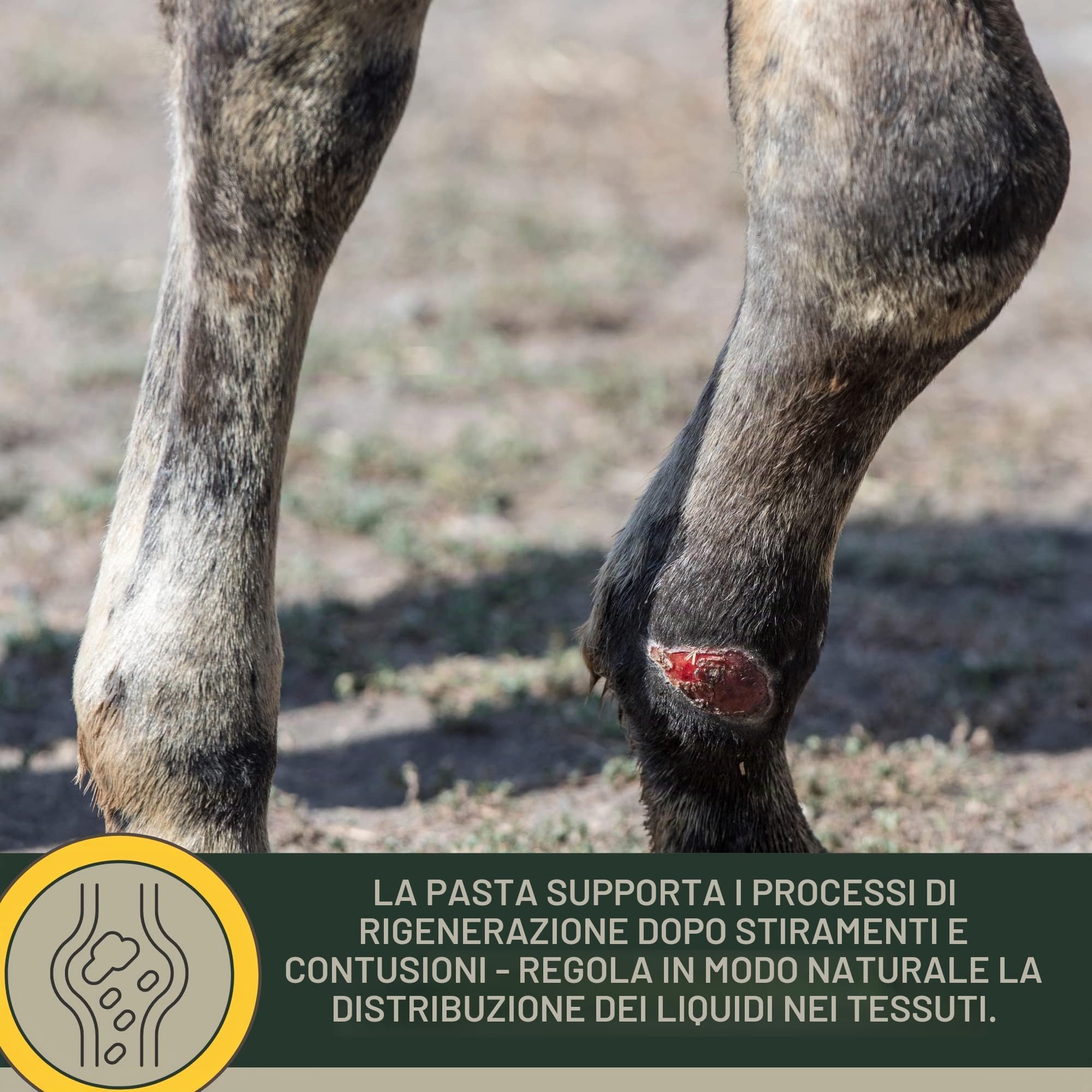 argilla acetica ⇒ argilla cavallo I balsamo per cavalli I pasta con pomata all'arnica argilla minerale I pasta di argilla curativa rinfrescante I gel I gel all'arnica muscoli tendini legamenti 1,5Kg