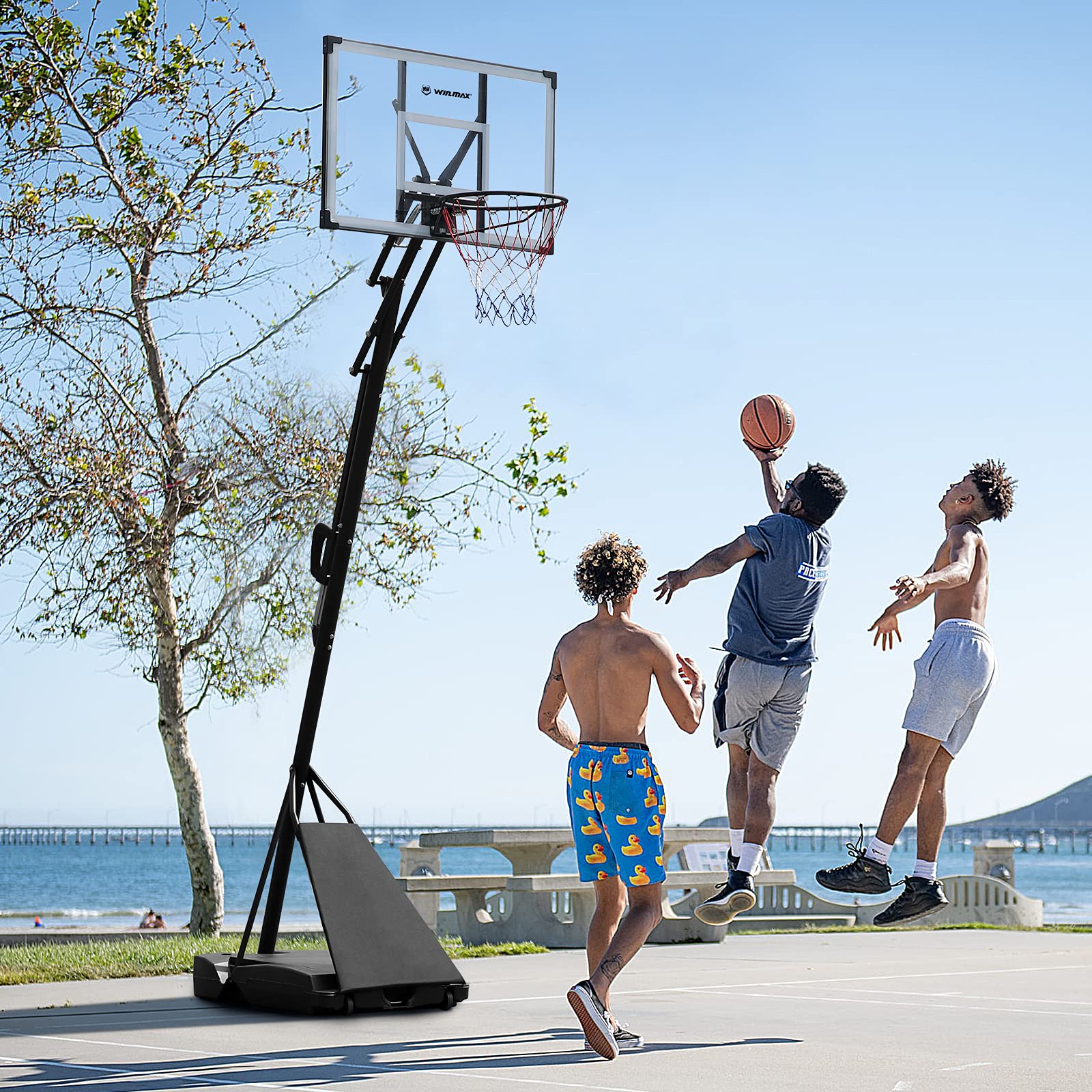 Buy WIN.MAX Portable Basketball Hoops & Goal Outdoor Basketball
