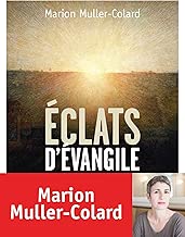 Download Eclats d'Evangile PDF