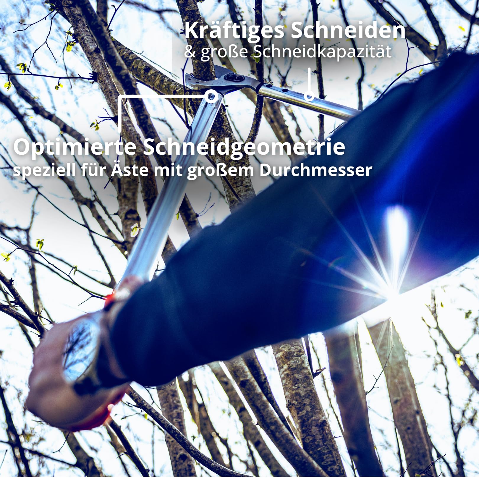 Original LÖWE 22 Profi Amboss Astschere 22.080 antihaftbeschichtet Stahlklinge mit Präzisionsschliff - scharfe und leichte Baumschere ideal zum Schneiden von Ästen Zweigen Bäumen Sträuchern, 80 cm
