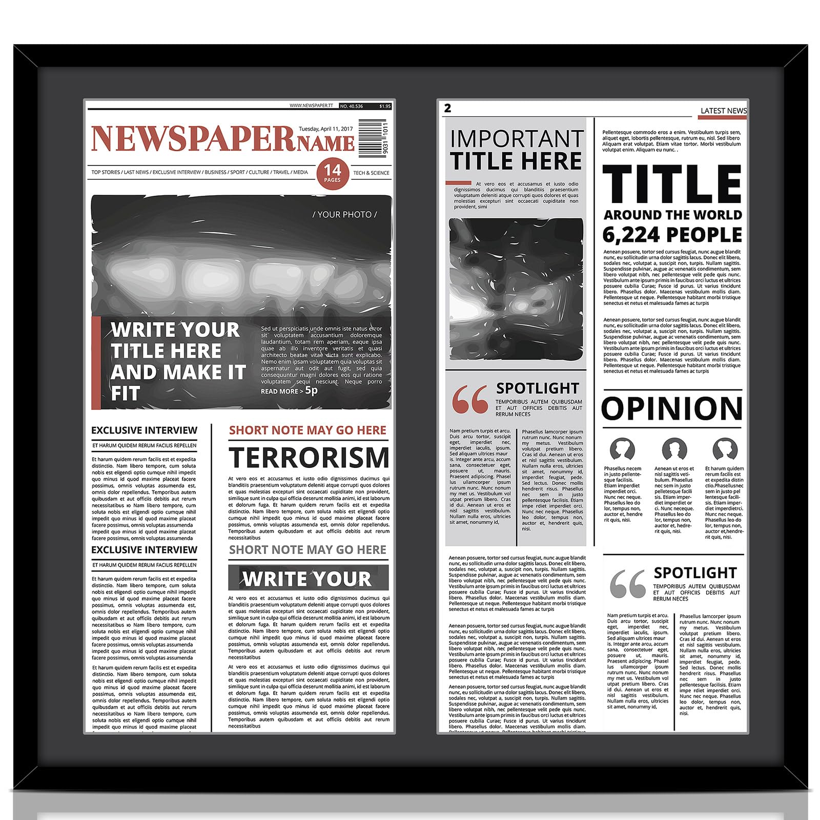 11x22 Frame for Two Newspapers Double Newspaper Frame Black Double Photo Mat UV Resistant Picture Mat with Hanging Hardware for Newspaper Display Wall Art Decor (Black)