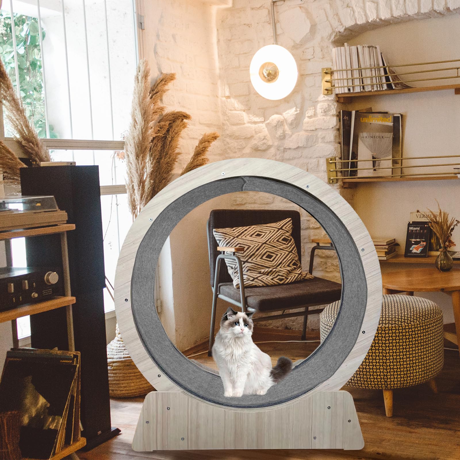Ruota da Corsa per Gatti Silenziosa Spesso, Tappetino Antiscivolo per Esercizi Pet Sport, per Riccio e Scoiattolo, Accessorio per Gioco Domestico