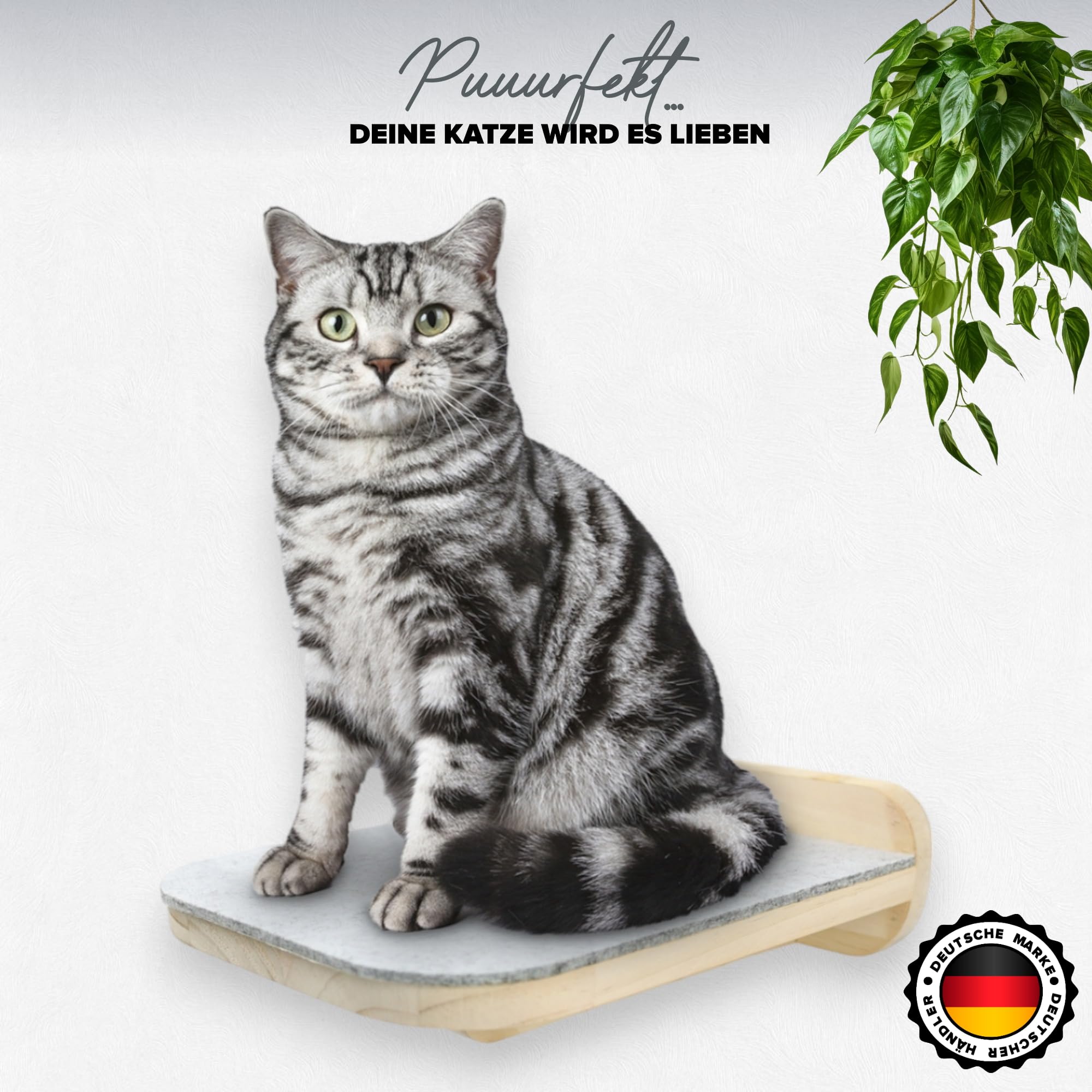 Parete Da Arrampicata Per Gatti In Legno - Set Da 3 Scale, Per Arrampicata E Gioco - Foto 6