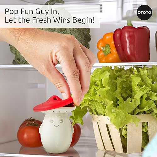 Vista 4 de OTOTO - Desodorizador para nevera de bicarbonato de sodio, desodorante para refrigerador, absorbente de olores de bicarbonato de sodio, regalos