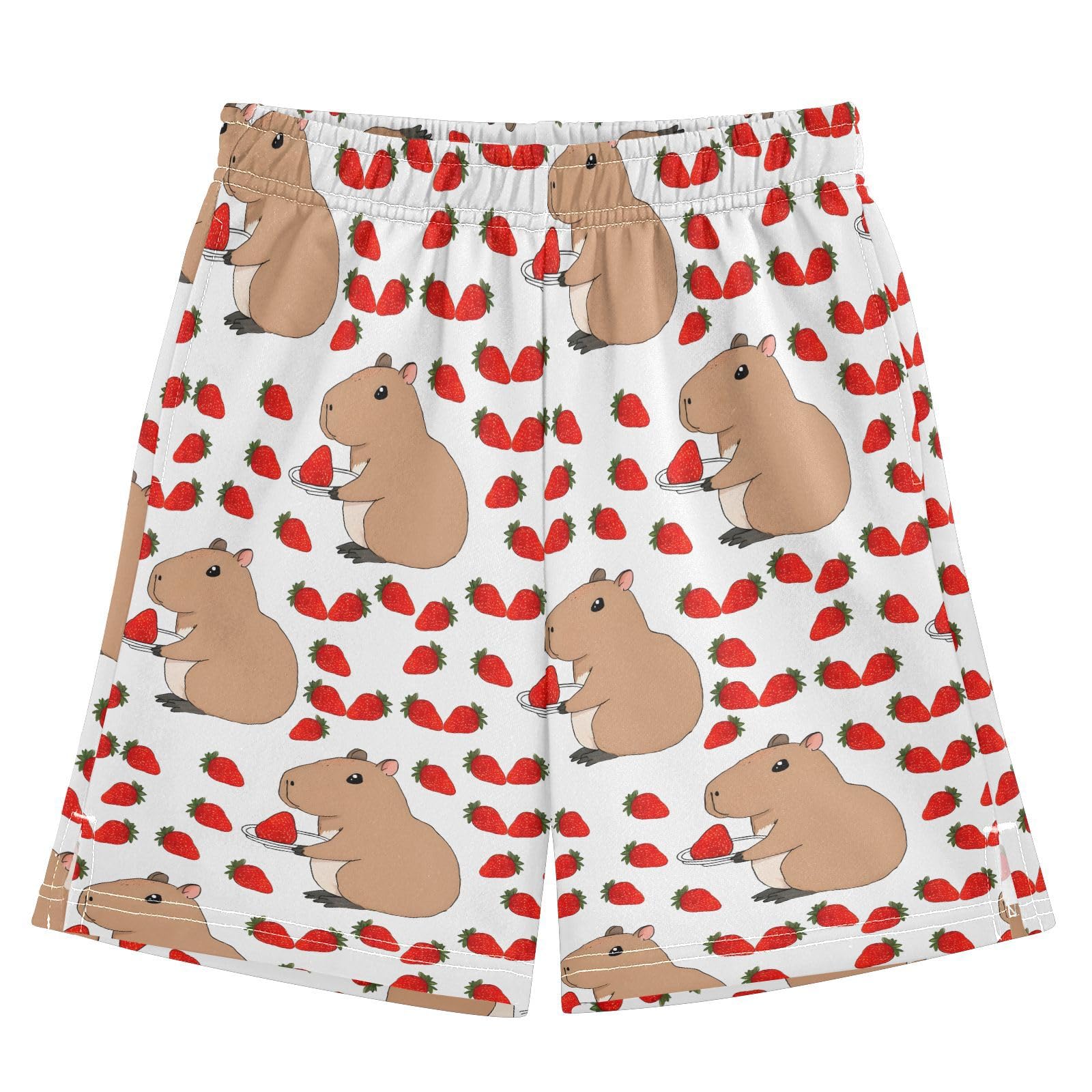 boy Shorts Cute Capybara Animal Youth Athletic Shorts for Boys and Girls 10-11 Y Multicolor