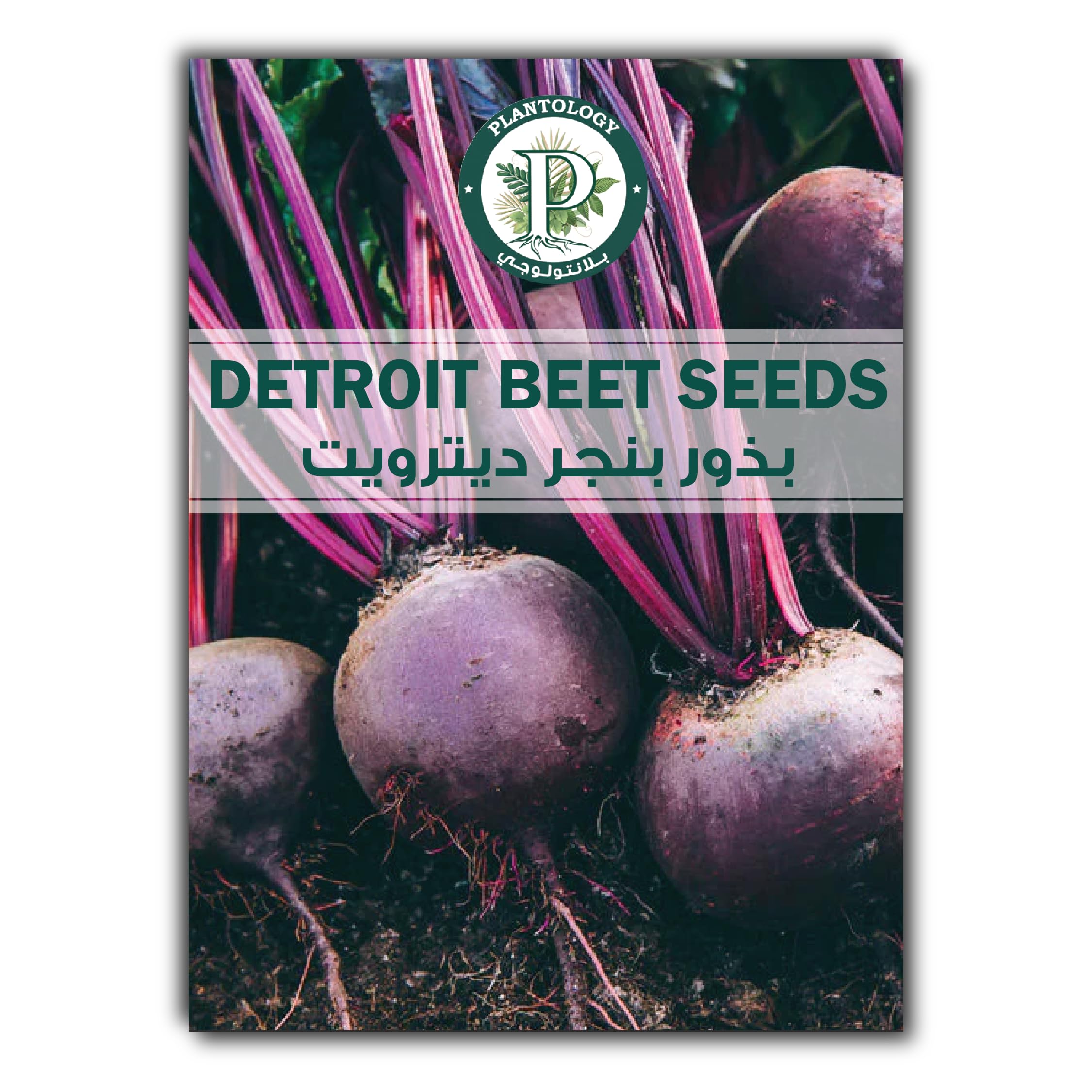 Detroit Beet Seeds for Planting - Organic Beetroot Detroit Seeds - Red Beet Detroit Seeds - Vegetable Seeds for Planting Non GMO Seeds