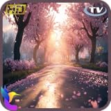 桜の庭 4K - リラックスできる音楽とともに日本の桜の雰囲気を味わう