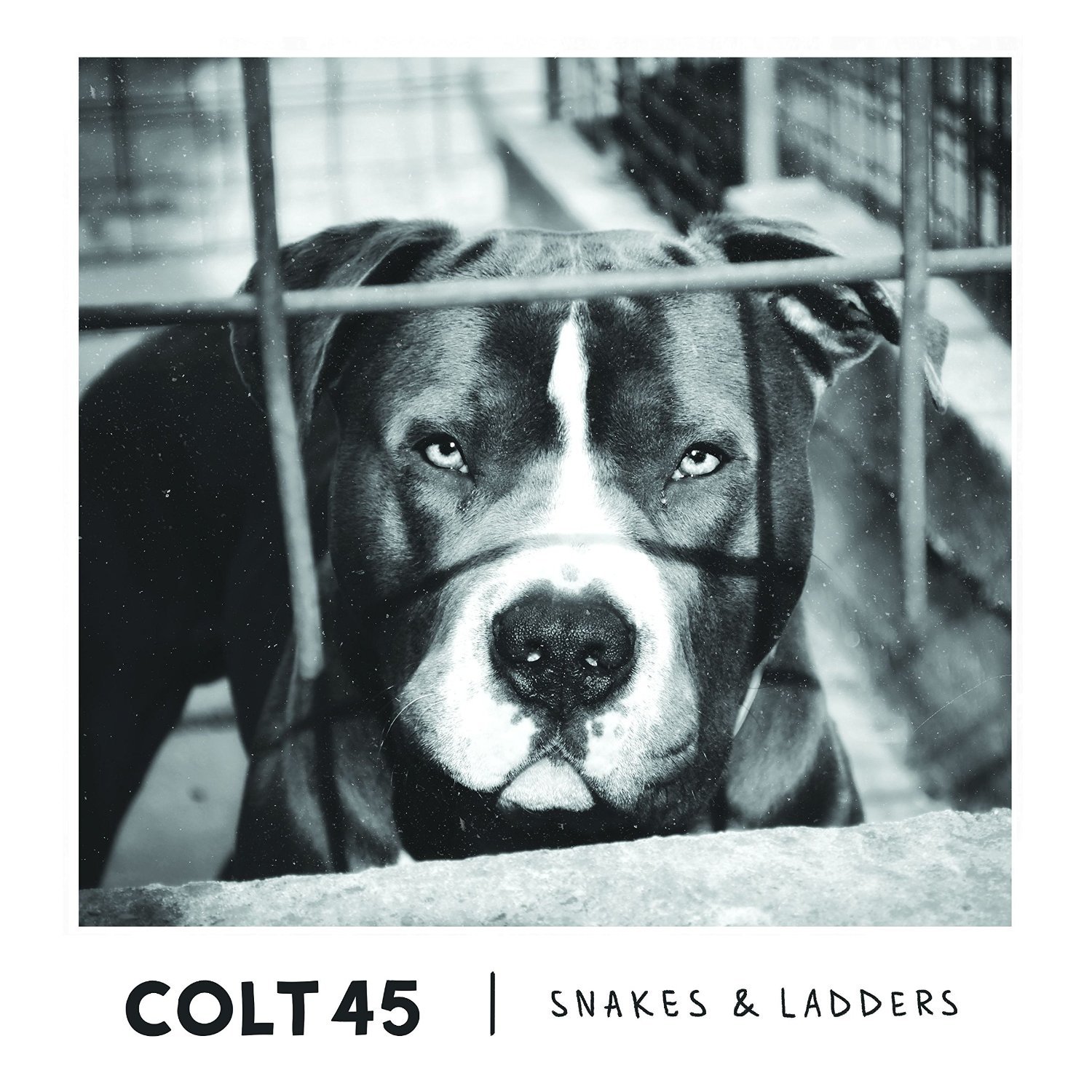 Colt 45 Snakes & Ladders CD NEW